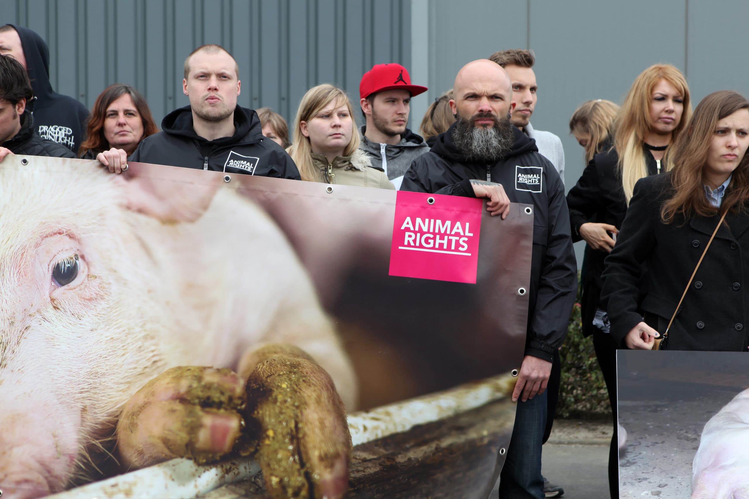 Dierenactivisten bij het inmiddels beruchte slachthuis in het Vlaamse Tielt. - Foto: Fotostudio Atelier 68