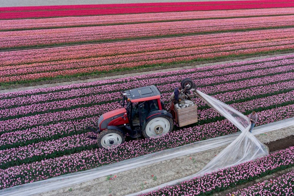 Foto: Sytze Bakker
