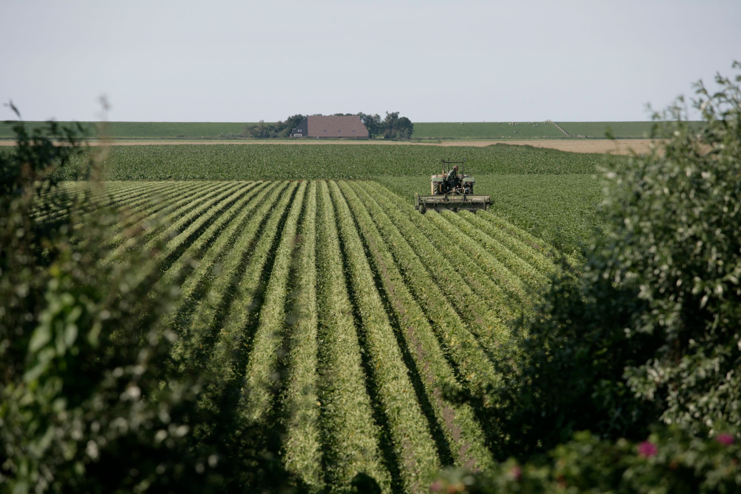 Foto: Jan Willem Schouten