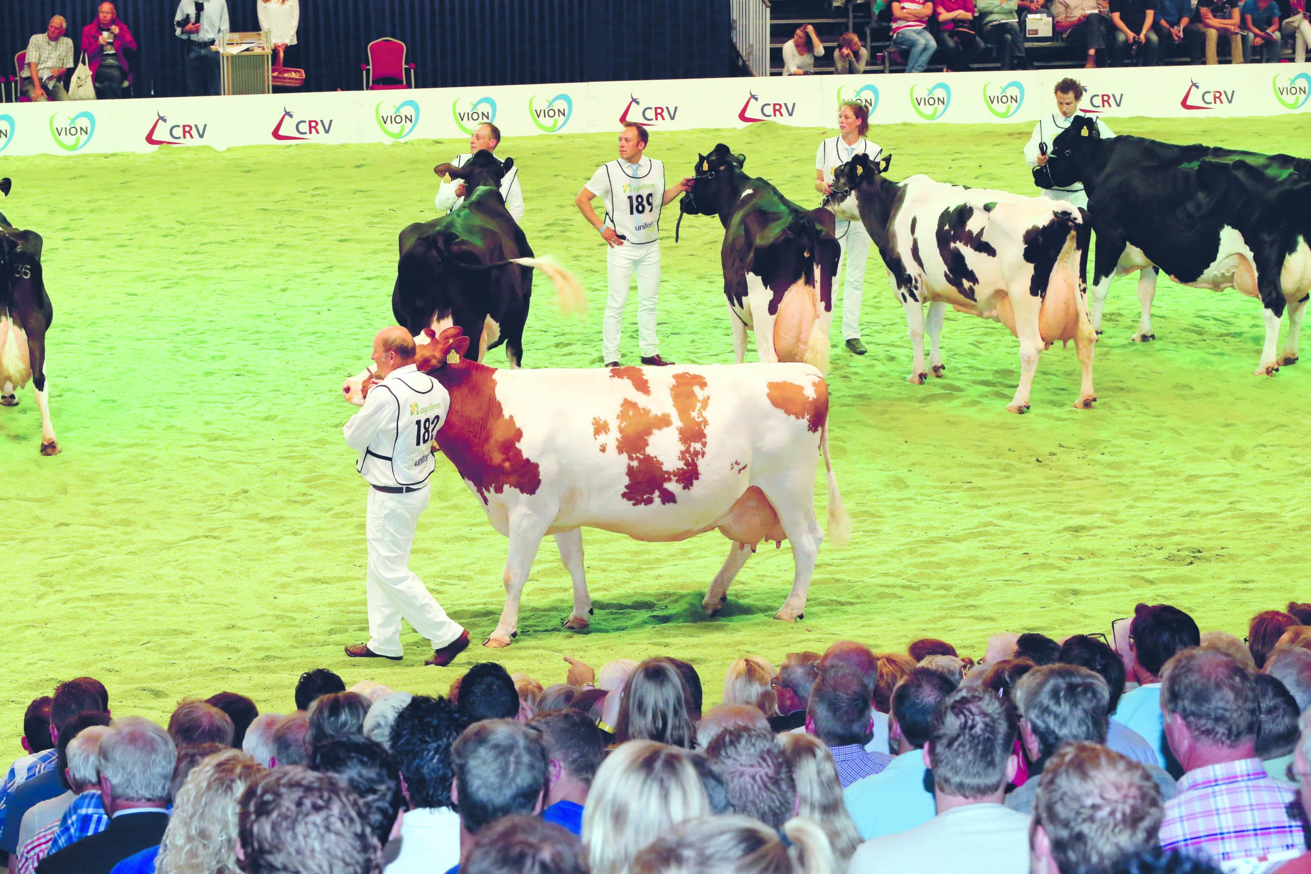 Foto: Henk Riswick