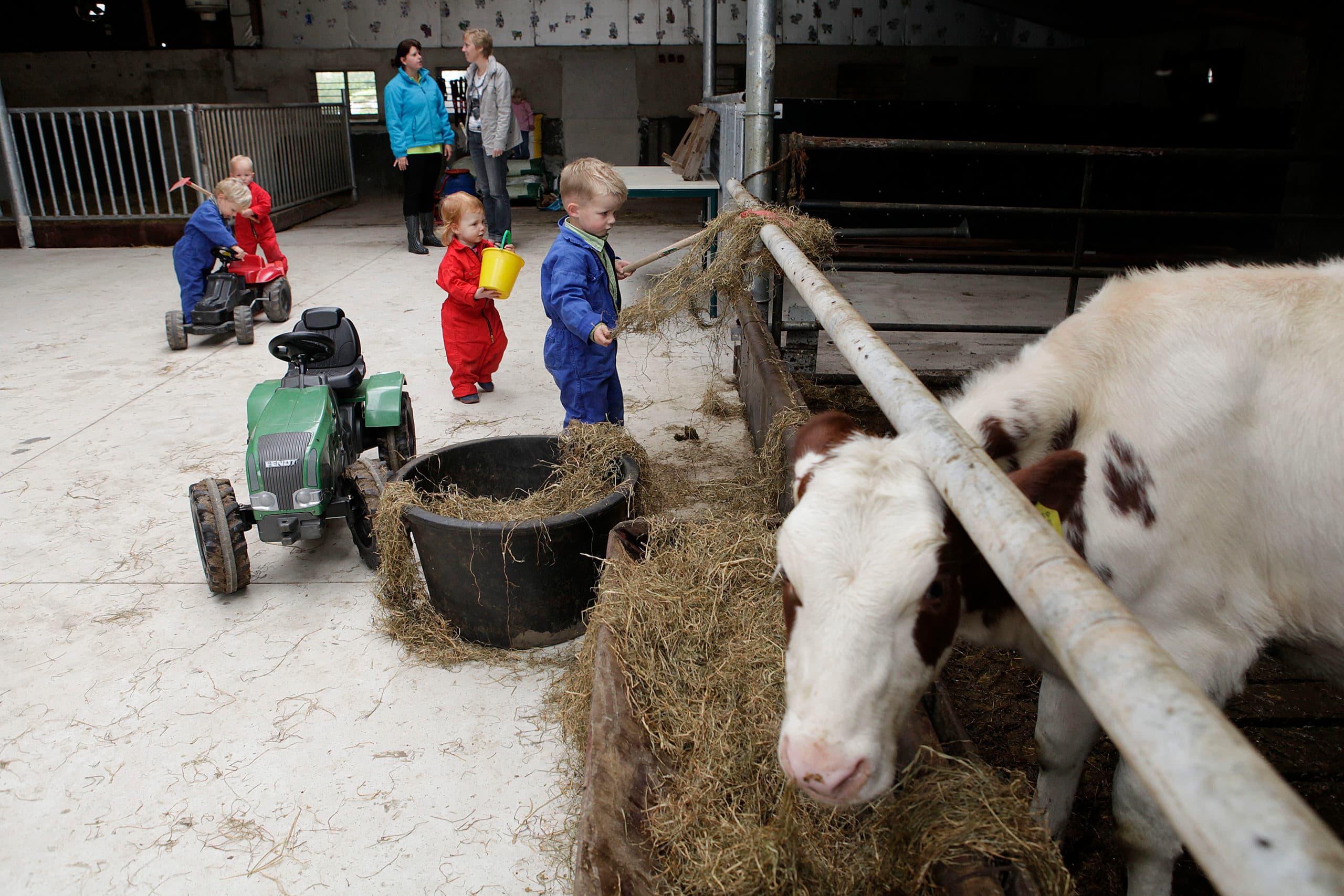Kinderopvang bij de boer - Foto: Hans Prinsen