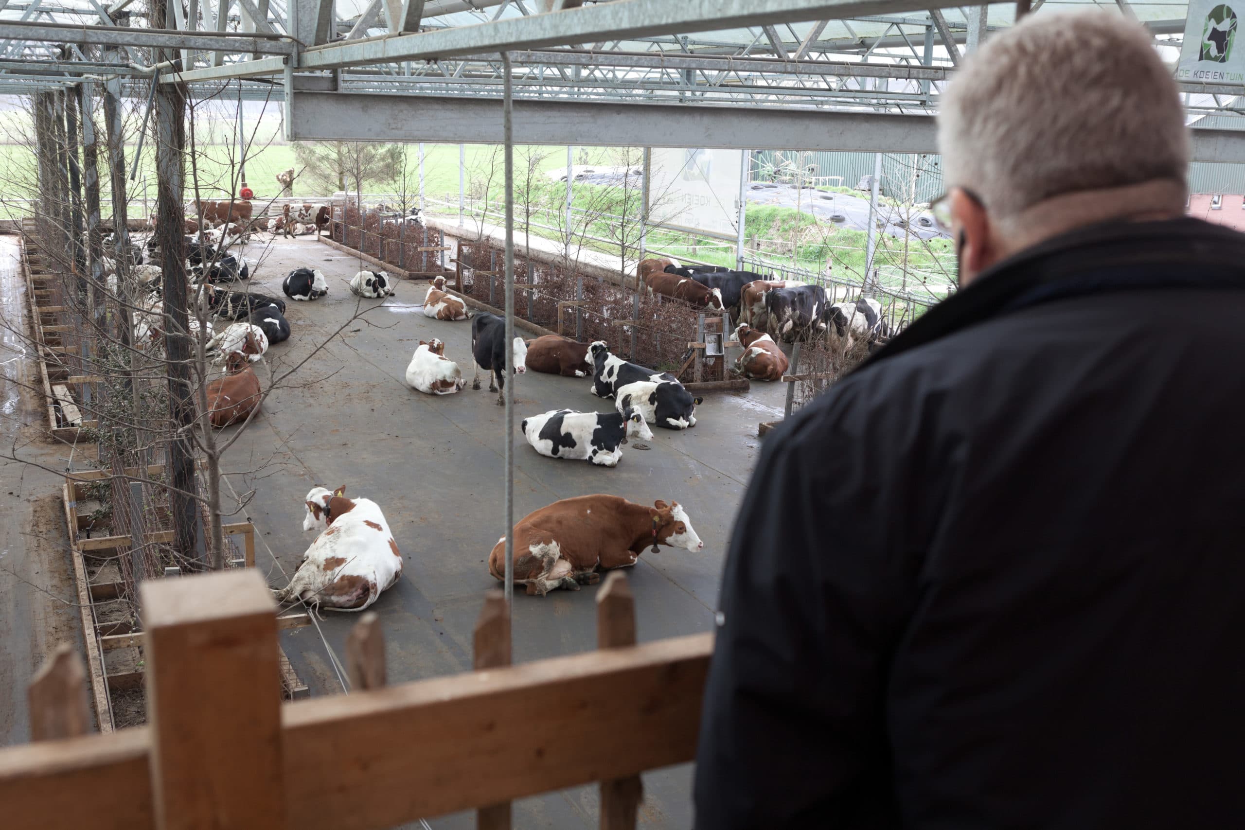 Foto: Joris Telders