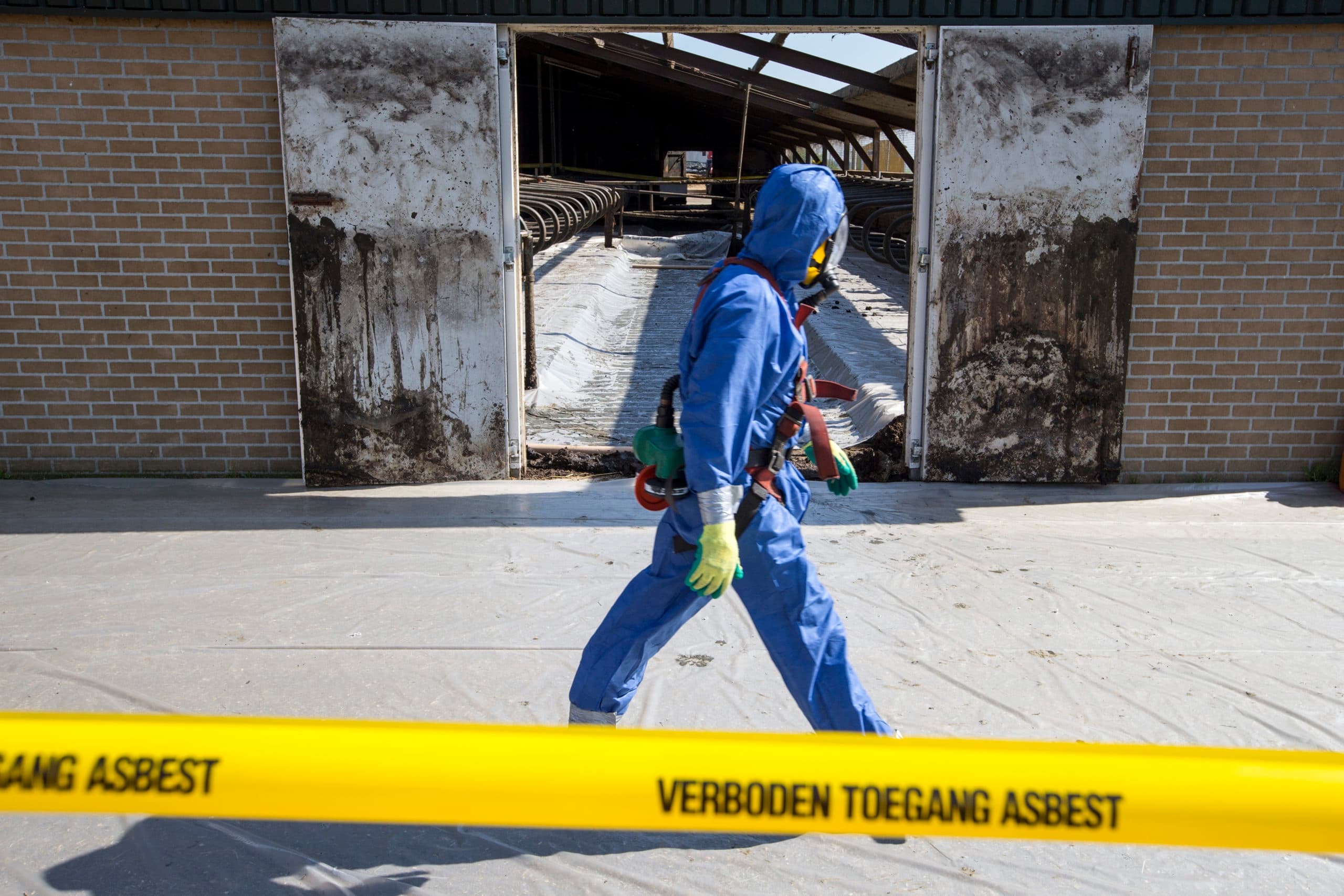 Foto: Anne van der Woude