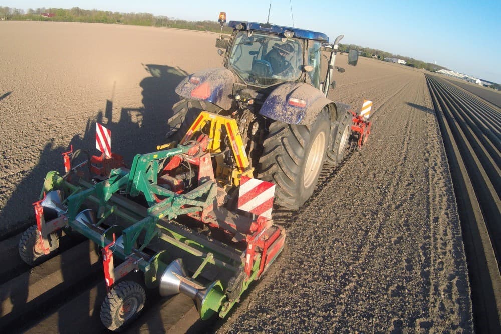 Waar het om draait is de structuur in de rug. Die moet een onbelemmerde groei van de peen mogelijk maken.