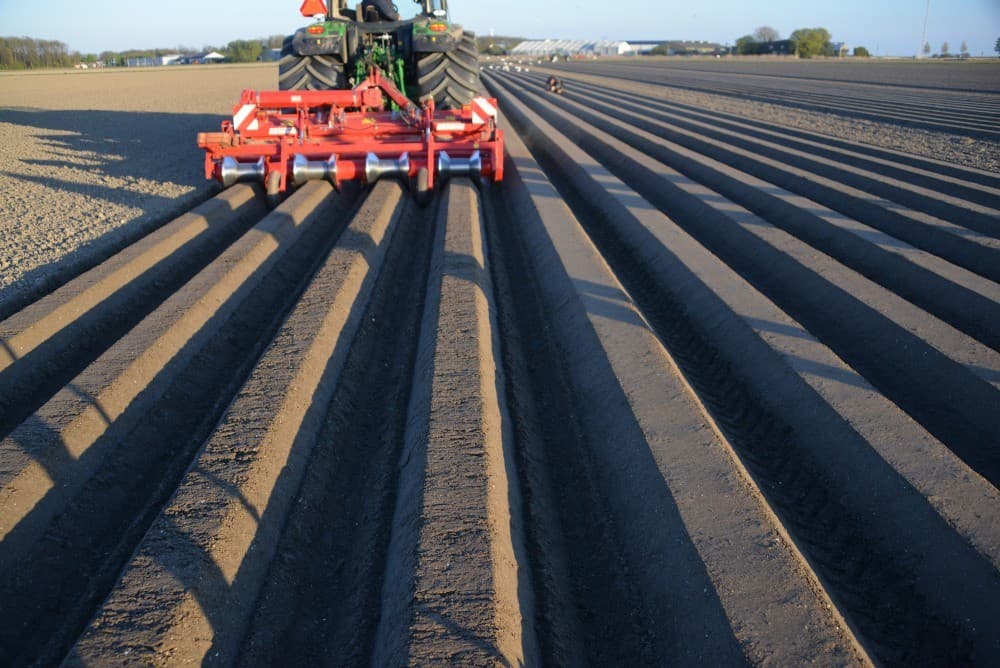 Gedurende het seizoen vergelijken onderzoekers de resultaten van de verschillende systemen. Hierbij kijken zij vooral naar de opkomst, de sortering en de opbouw van de rug.