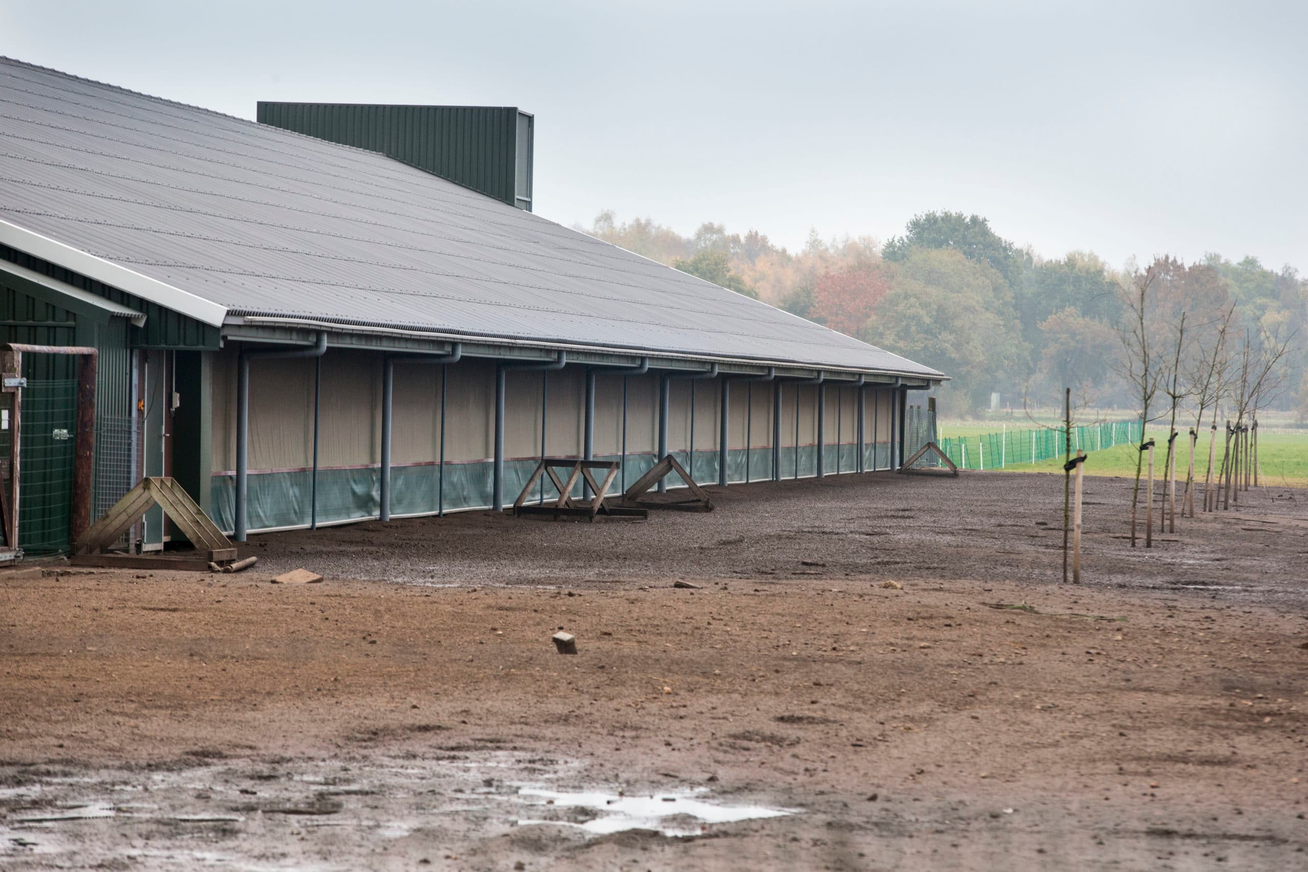 De gesloten luiken bij de vrije uitloop van een pluimveebedrijf in Bergentheim. Al 4,5 maand geldt in Nederland een ophokplicht vanwege vogelgriep. - Foto: ANP