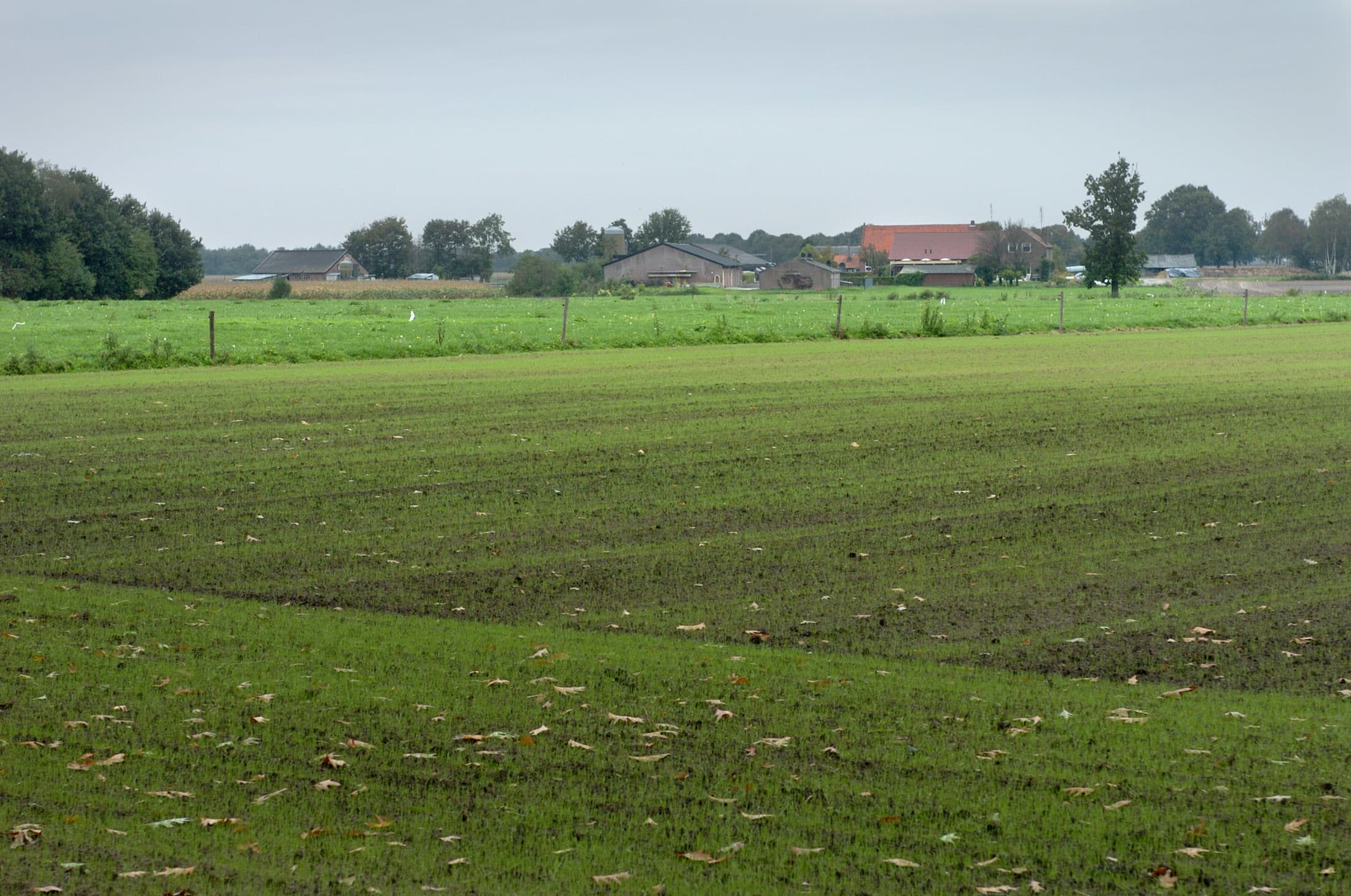 Foto: Ruben Keestra