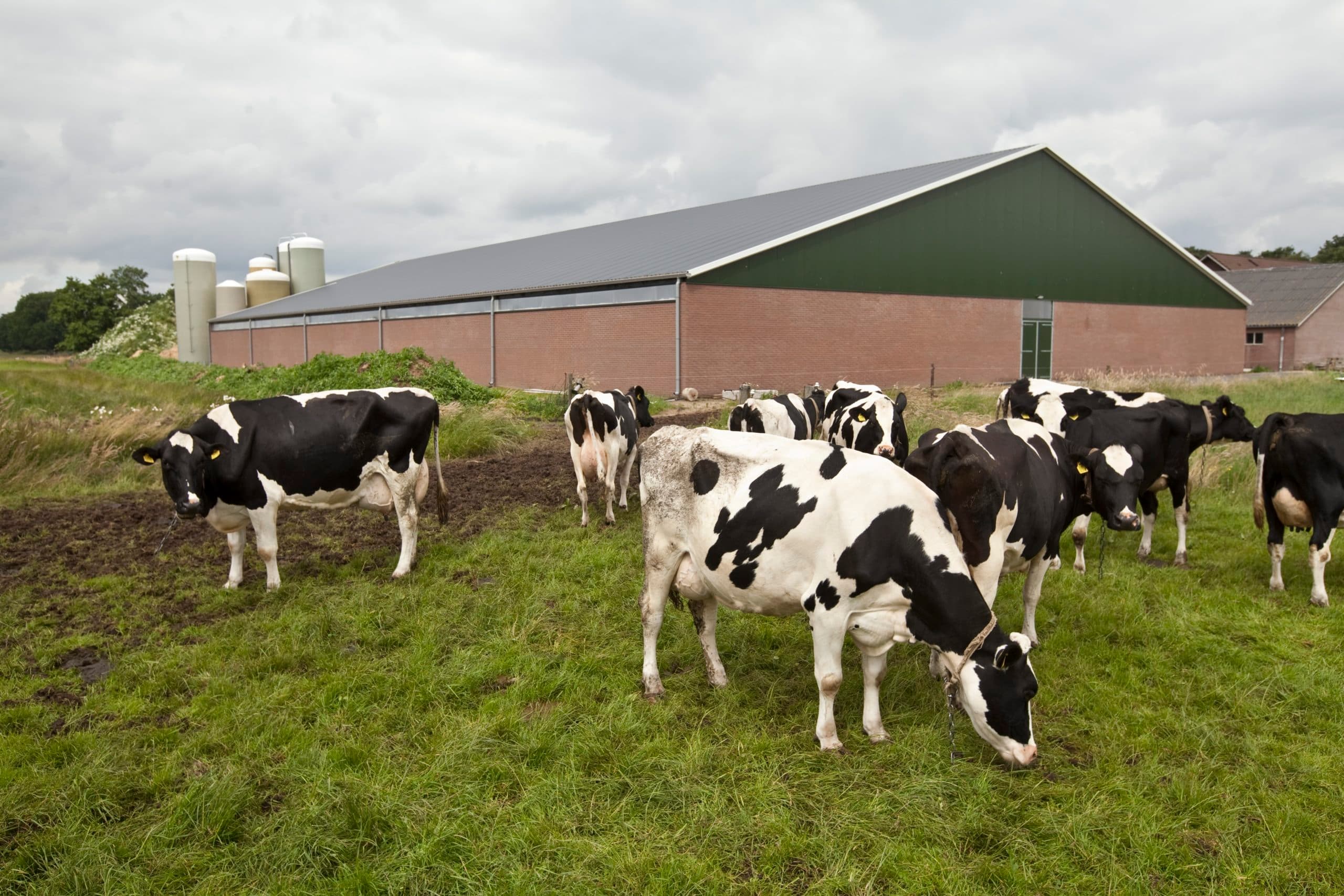 Foto: Koos Groenewold