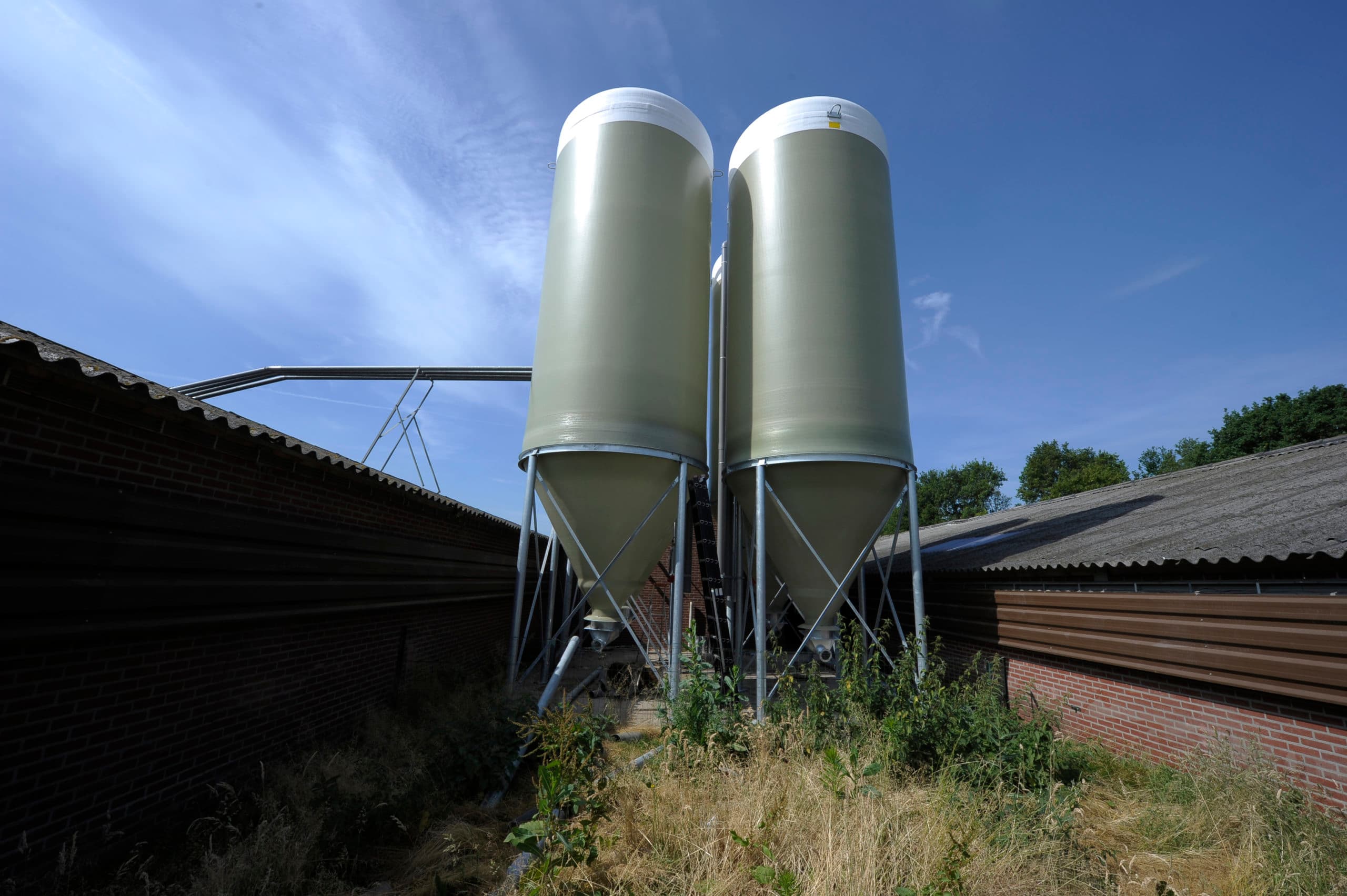 Foto: Marcel van Hoorn