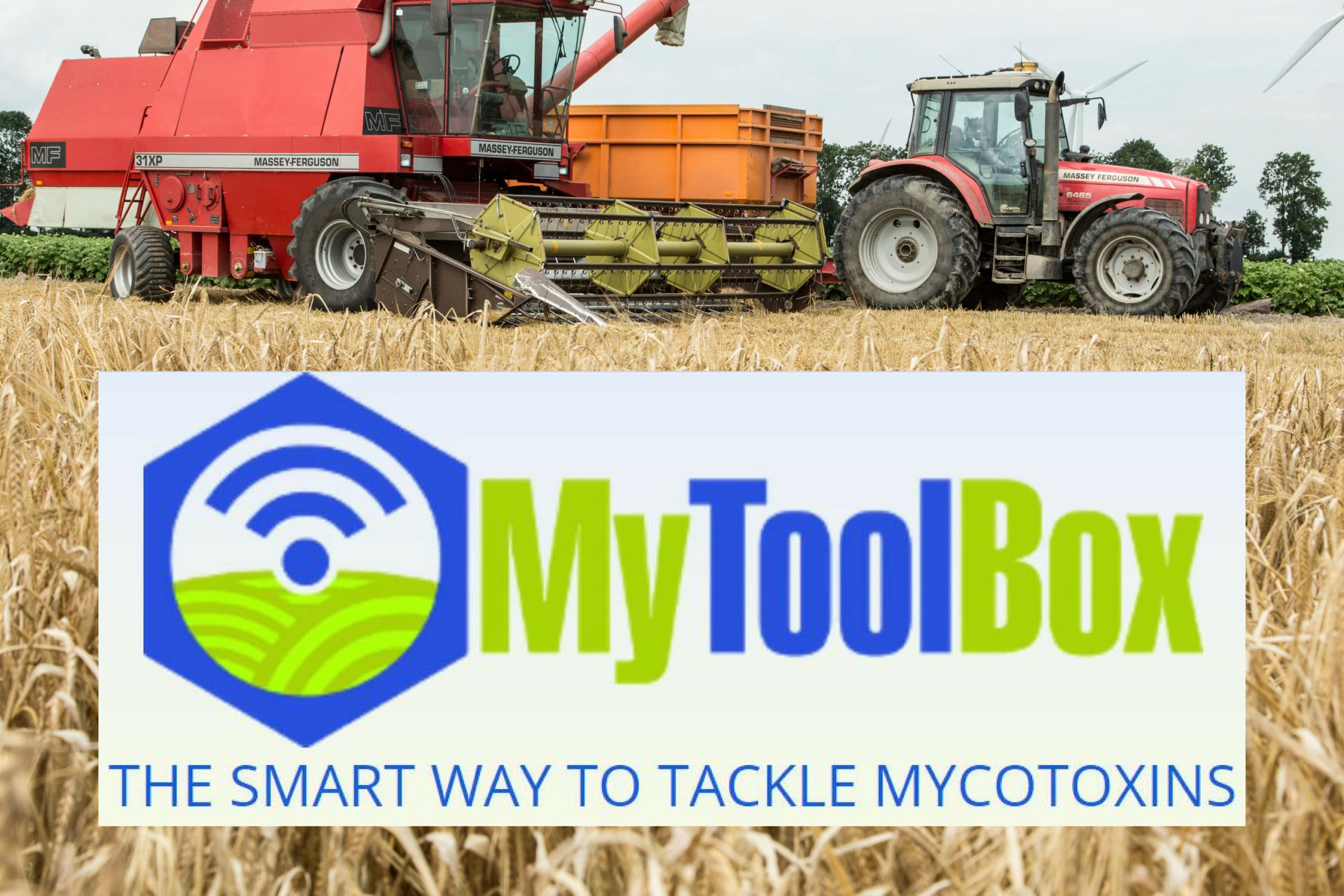 Foto: Koos Groenewold Logo: MyToolBox