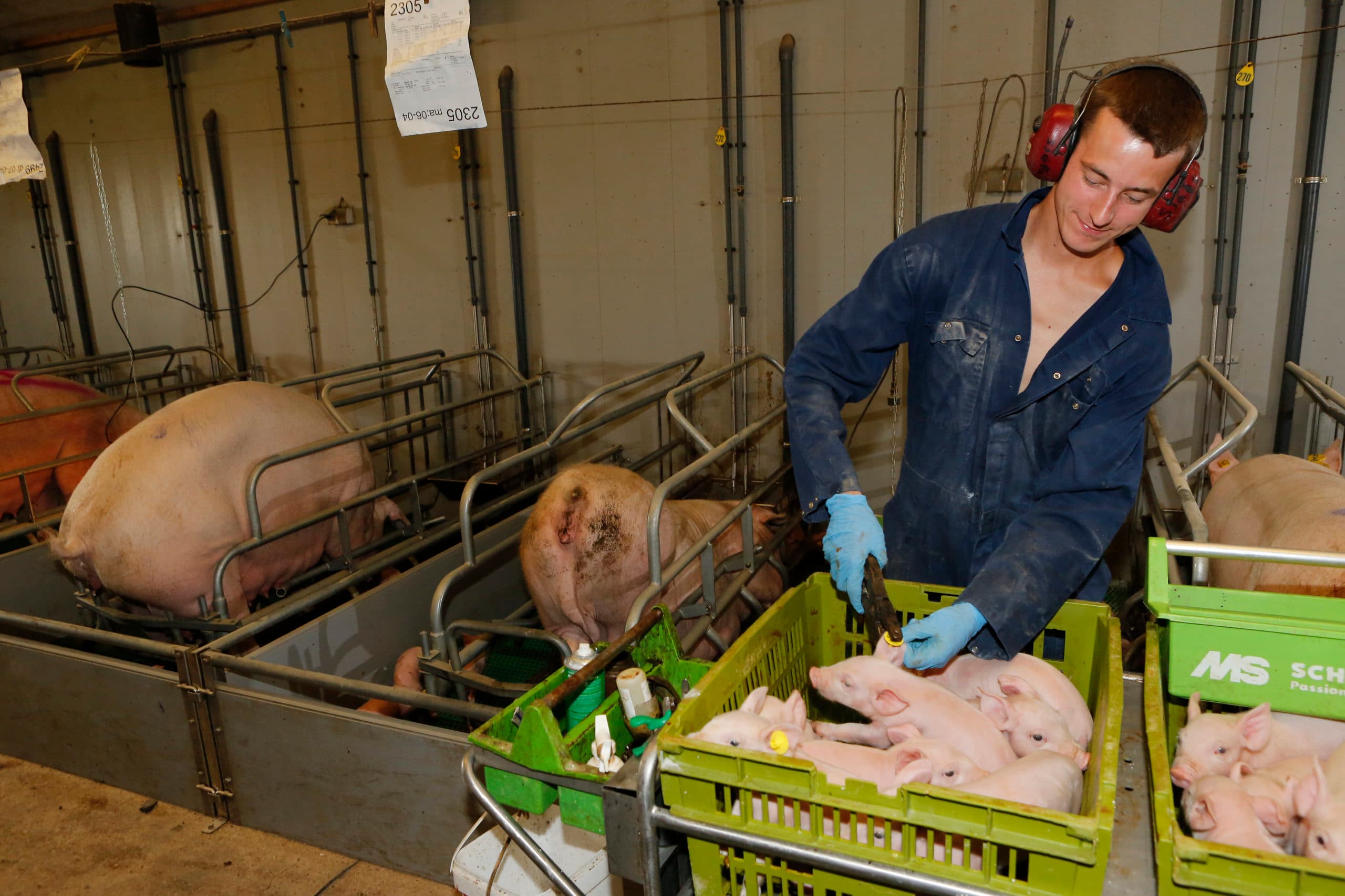 Foto: Henk Riswick