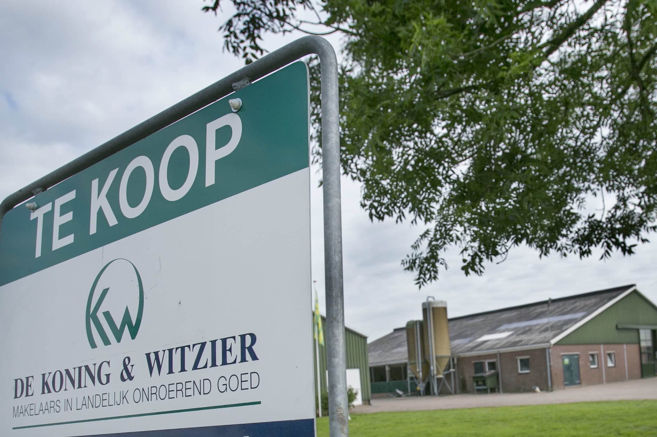 Foto: Roel Dijkstra