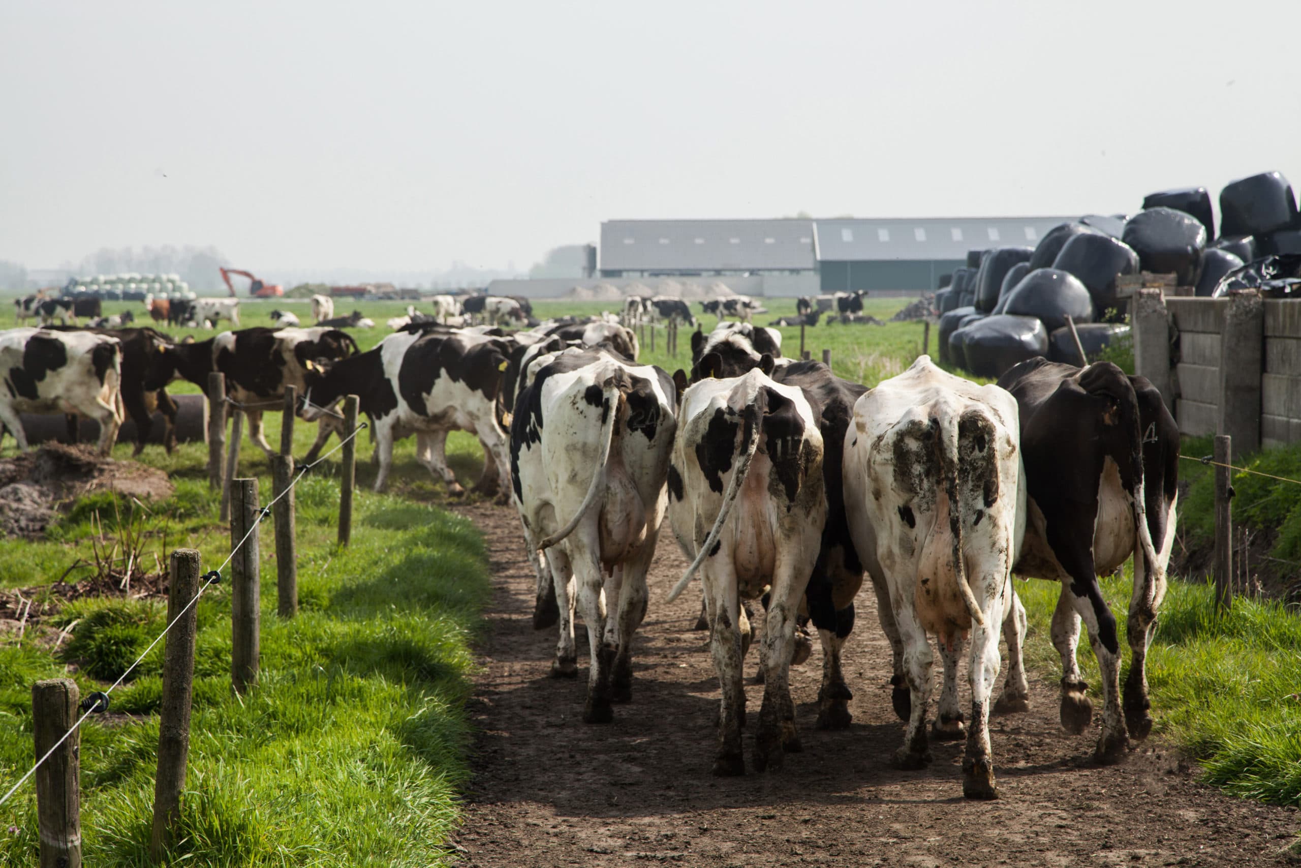 Foto: Herbert Wiggerman
