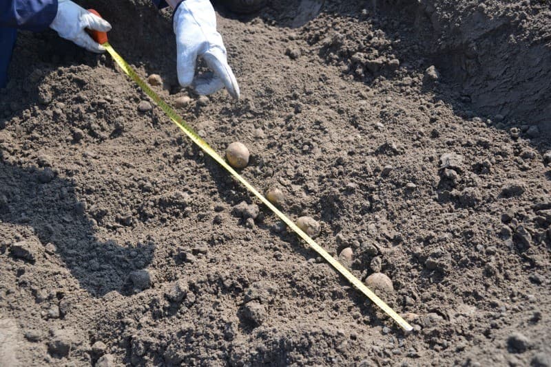 Arnold Pit bestuurt de pootcombinatie.