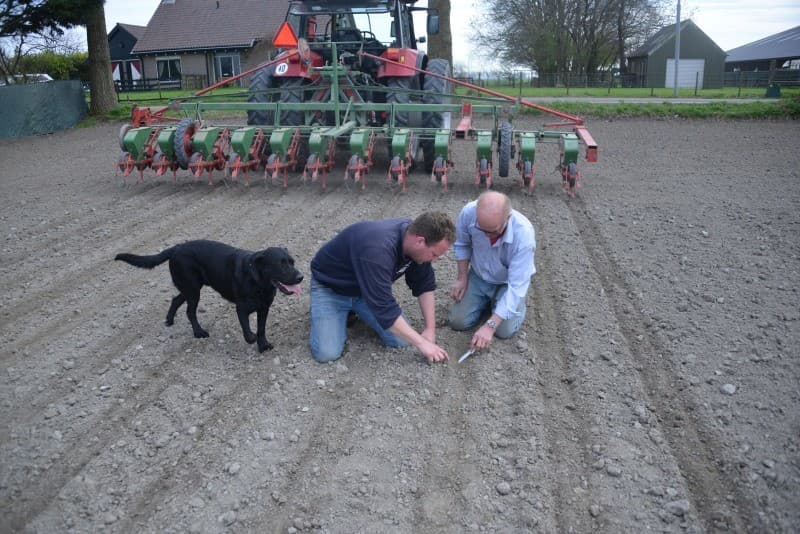 Bovenop is de grond hard. Onderin is de grond nog vrij nat en koud. Door aanwezige stroresten die vanwege de ganzenregeling van Schiphol ondergewerkt zijn, doen wormen het ook goed.
