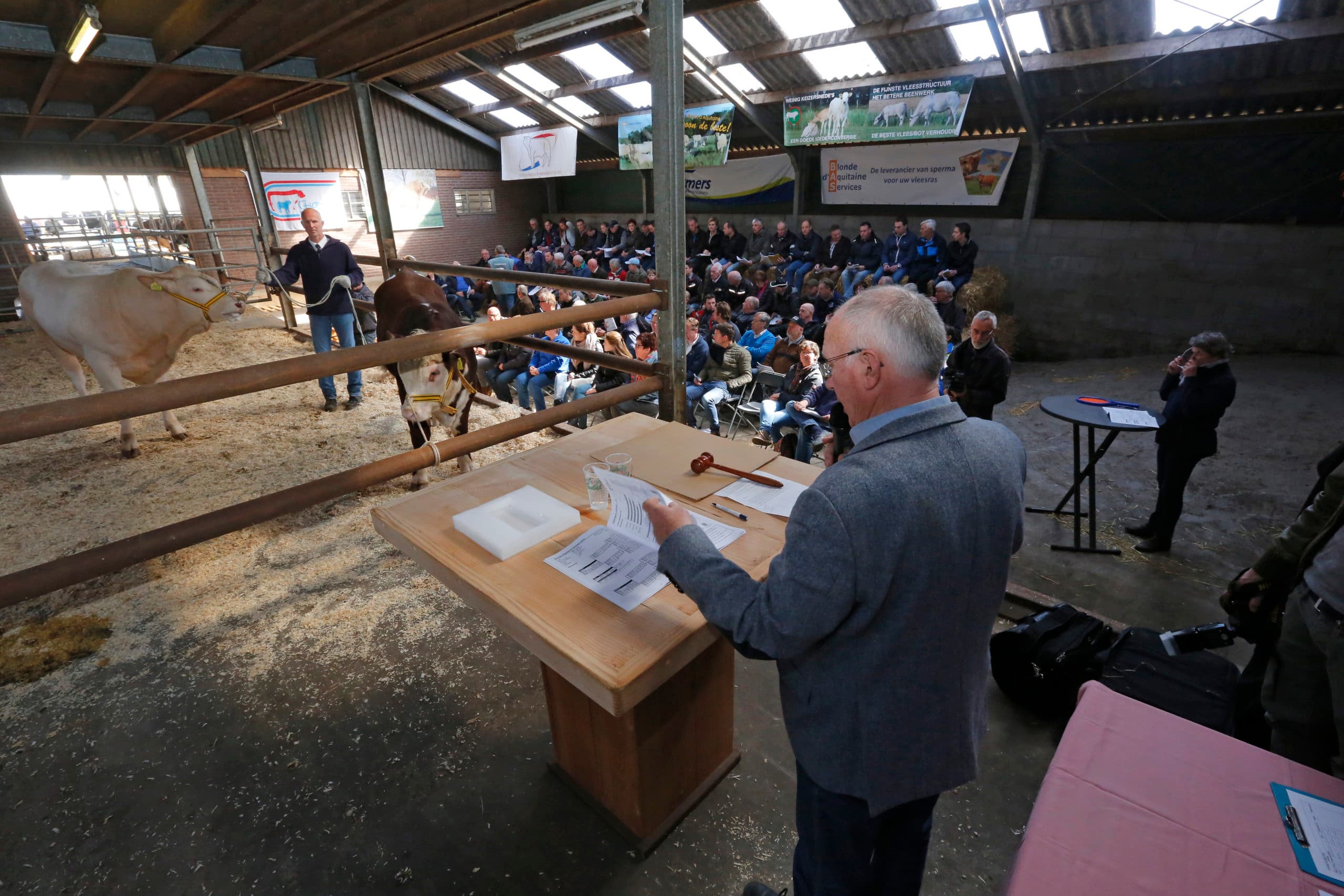 Foto: Henk Riswick