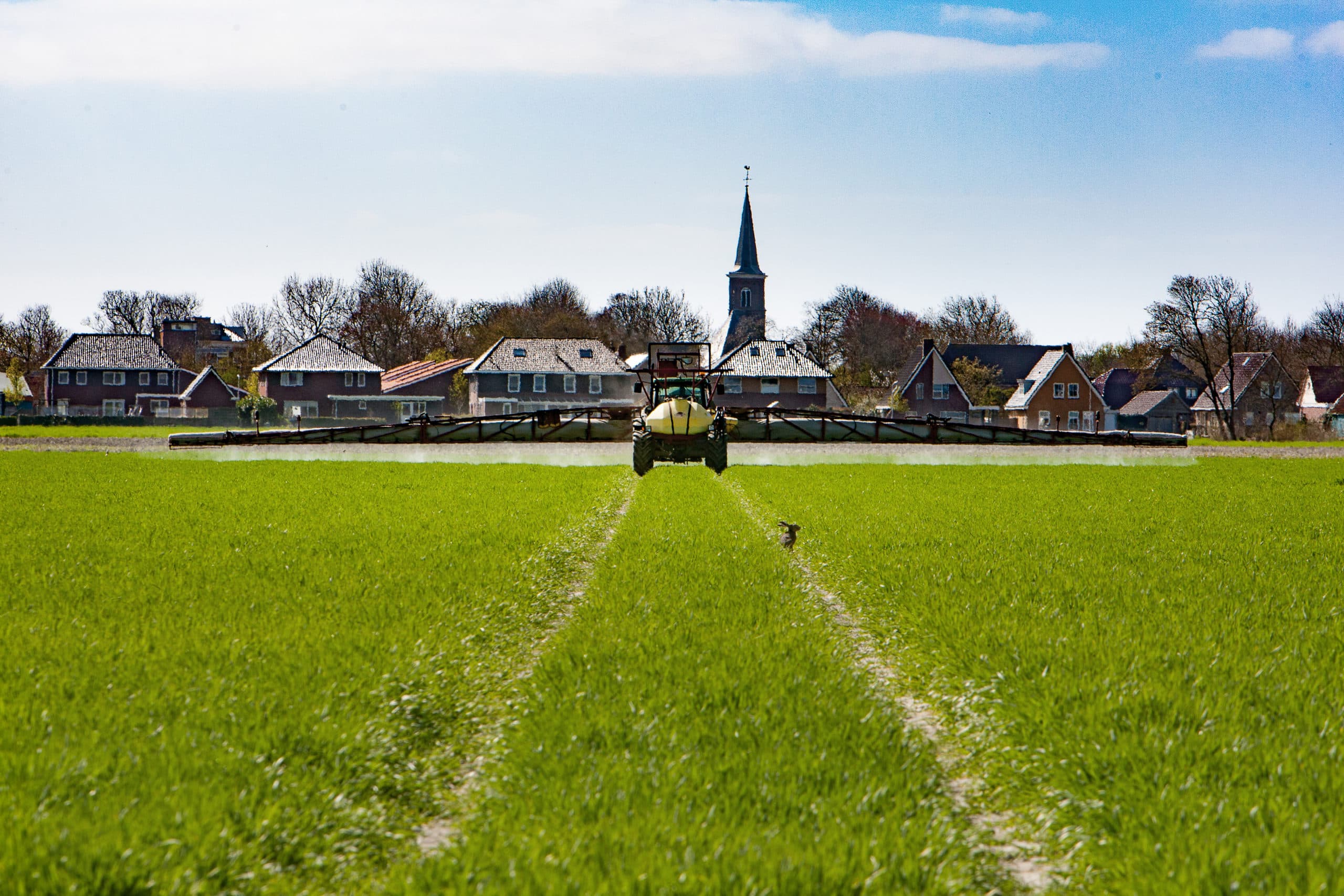 Foto: Ronald Hissink
