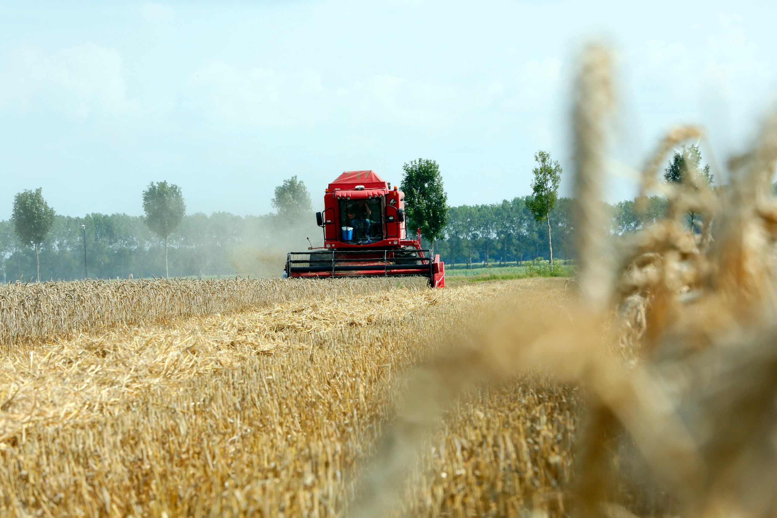 Foto: Henk Riswick