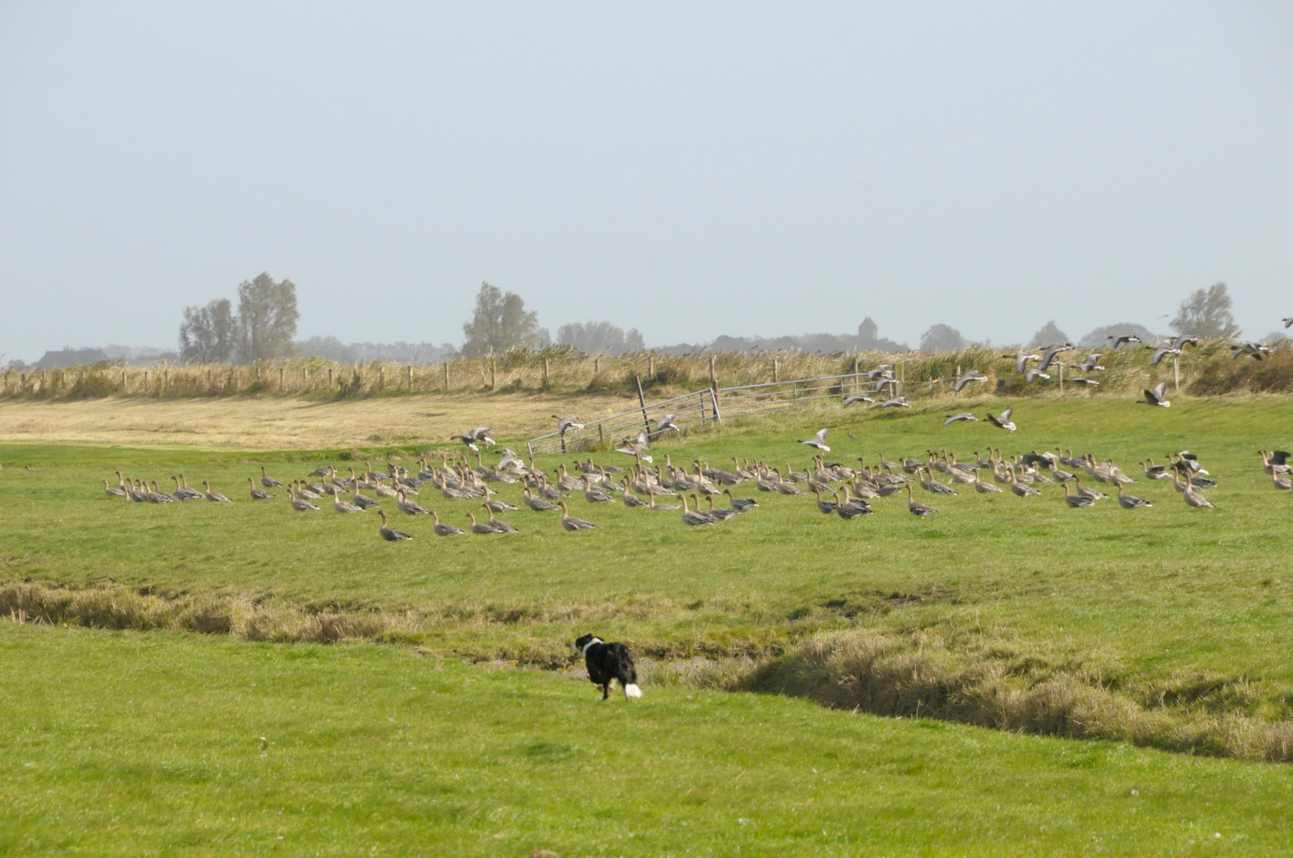 Foto: Penn Communicatie