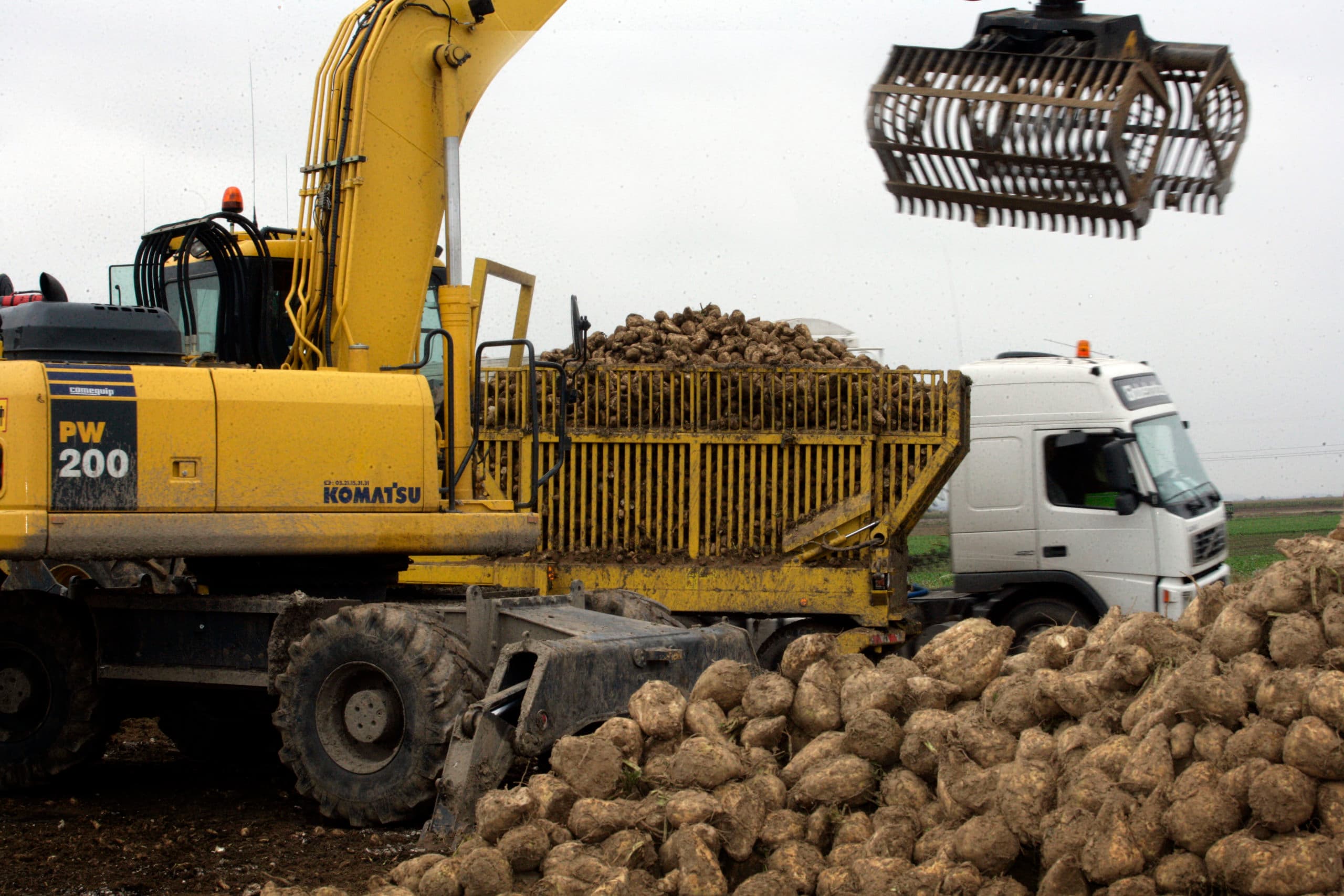 Suikerbieten laden in Frankrijk. Het Europese suikerareaal is fors gegroeid in het eerste quotumloze jaar. - Foto: Henk Riswick