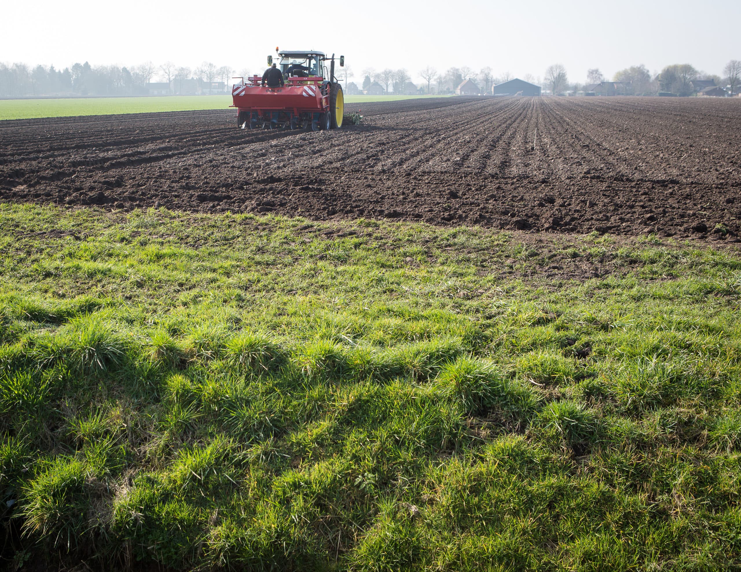 Foto: Peter Roek