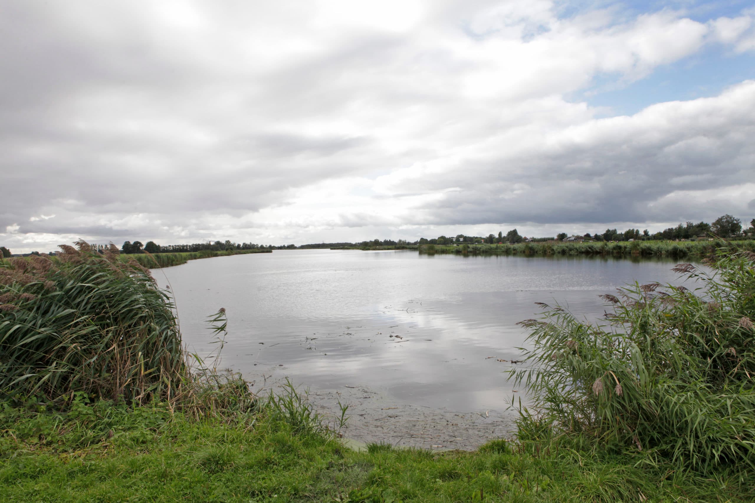 Natuur en landbouw, een combinatie die in de toekomst minder schijnbaar tegenstrijdig moet worden, vindt een groep organisaties waaronder LTO Nederland. - Foto: Ton Kastermans Fotografie