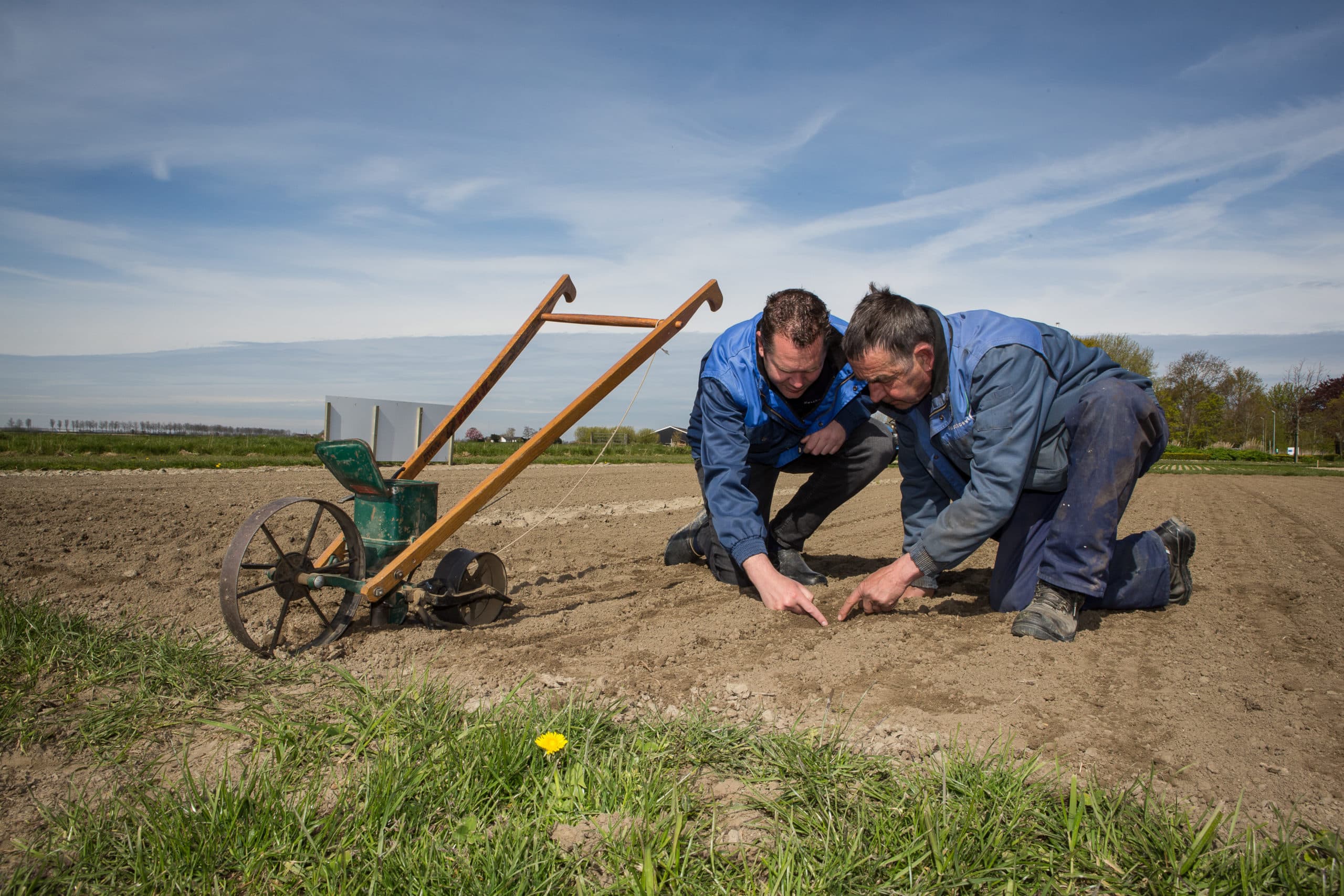 De ontwikkeling van de werkgelegenheid in de land- en tuinbouw gaat de goede kant op. - Foto: Peter Roek