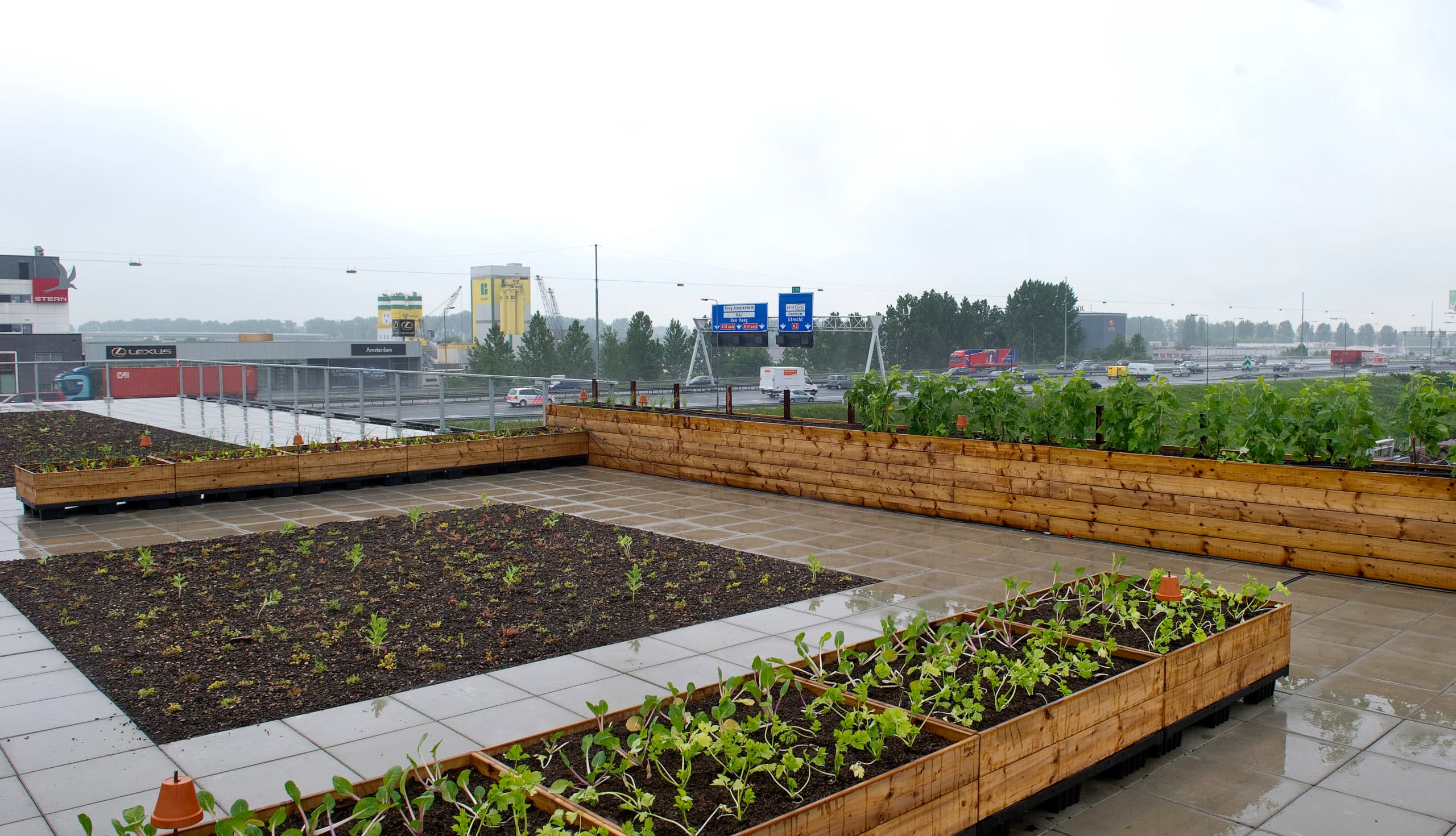 Het dak van het het voormalig hoofdkantoor van V&D. Bovenop is een Urban Farming dak, waarvan de eetbare opbrengst wordt gebruikt door restaurants op het complex. - Foto: ANP