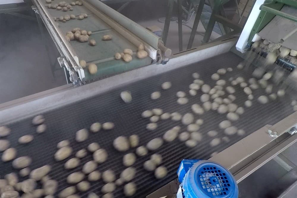 De retourband brengt alles wat de camera s niet goed gezien hebben terug naar de invoer. Dat zijn vooral knollen die te dicht bij elkaar lagen om goed te kunnen worden gescand.