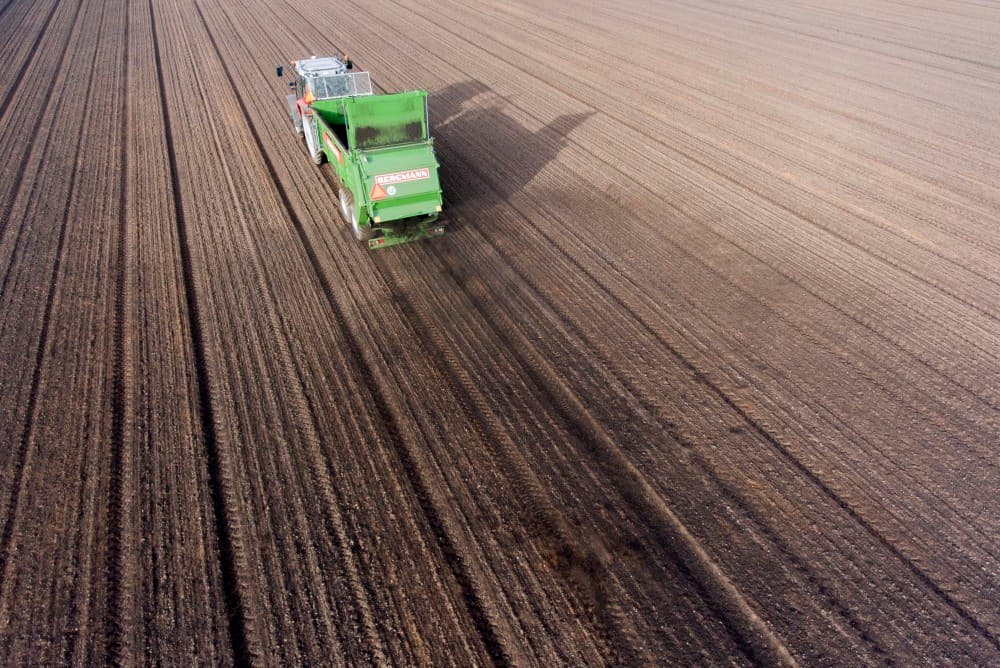 De compost ligt er dik genoeg op om stuiven van de zandgrond tegen te gaan.
