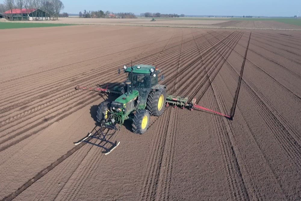 Campmans zaait 6 hectare met het ras Florena. Dit ras heeft een aanvullende rhizomanieresistentie.
