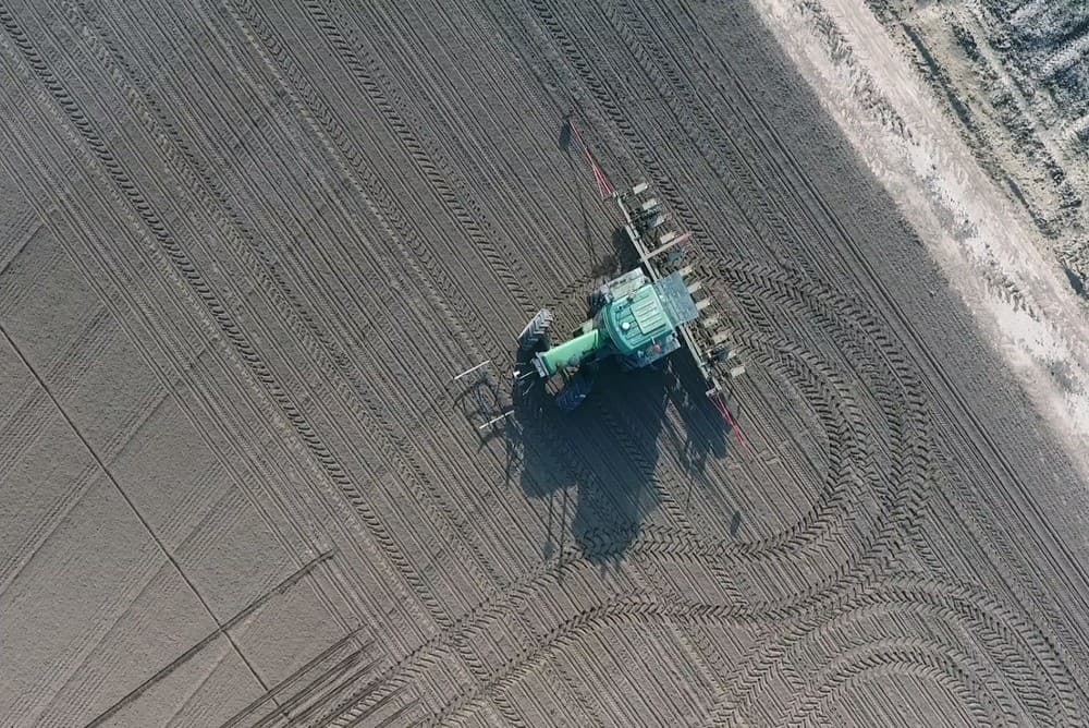 Het diagonaal klaargelegde perceel geeft een prachtig lijnenspel vanuit deze positie.