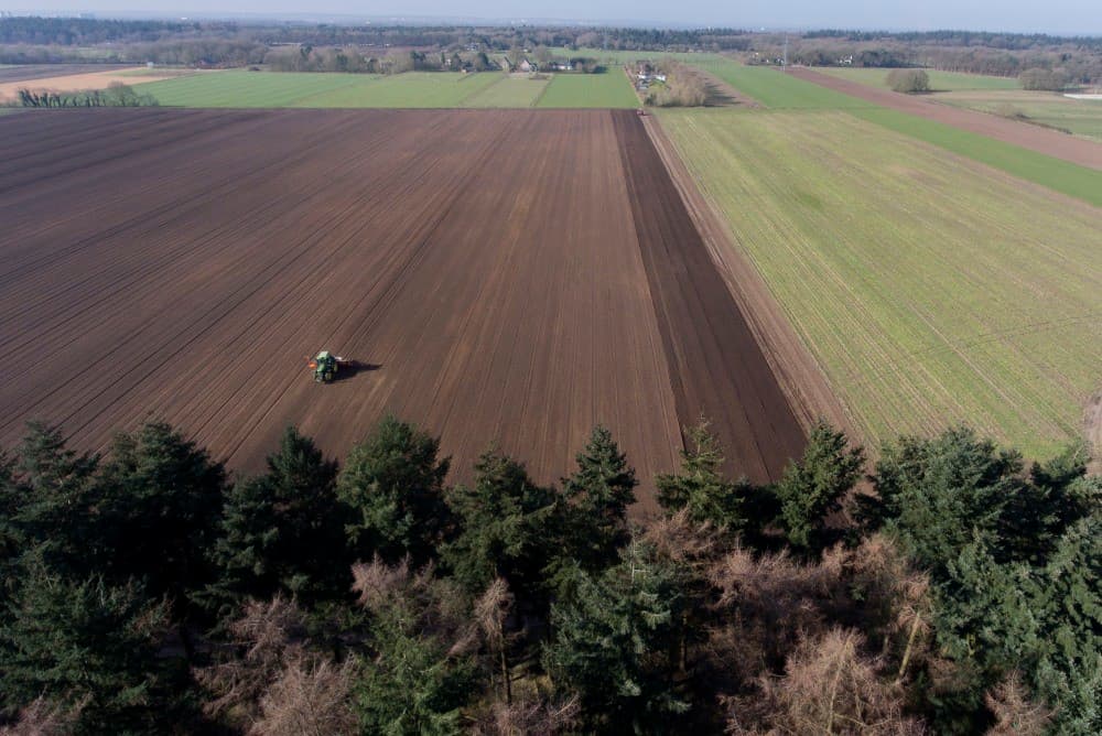 Nog een paar rondjes te gaan en dit perceel is klaar. Teunissen teelt nu voor het tweede jaar zaaiuien. Deze zijn bestemd voor de vroege afland-levering.