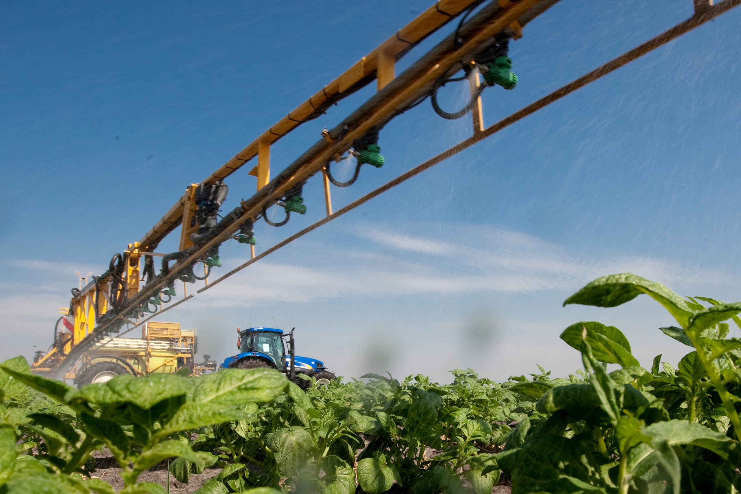 Foto: Ronald Hissink