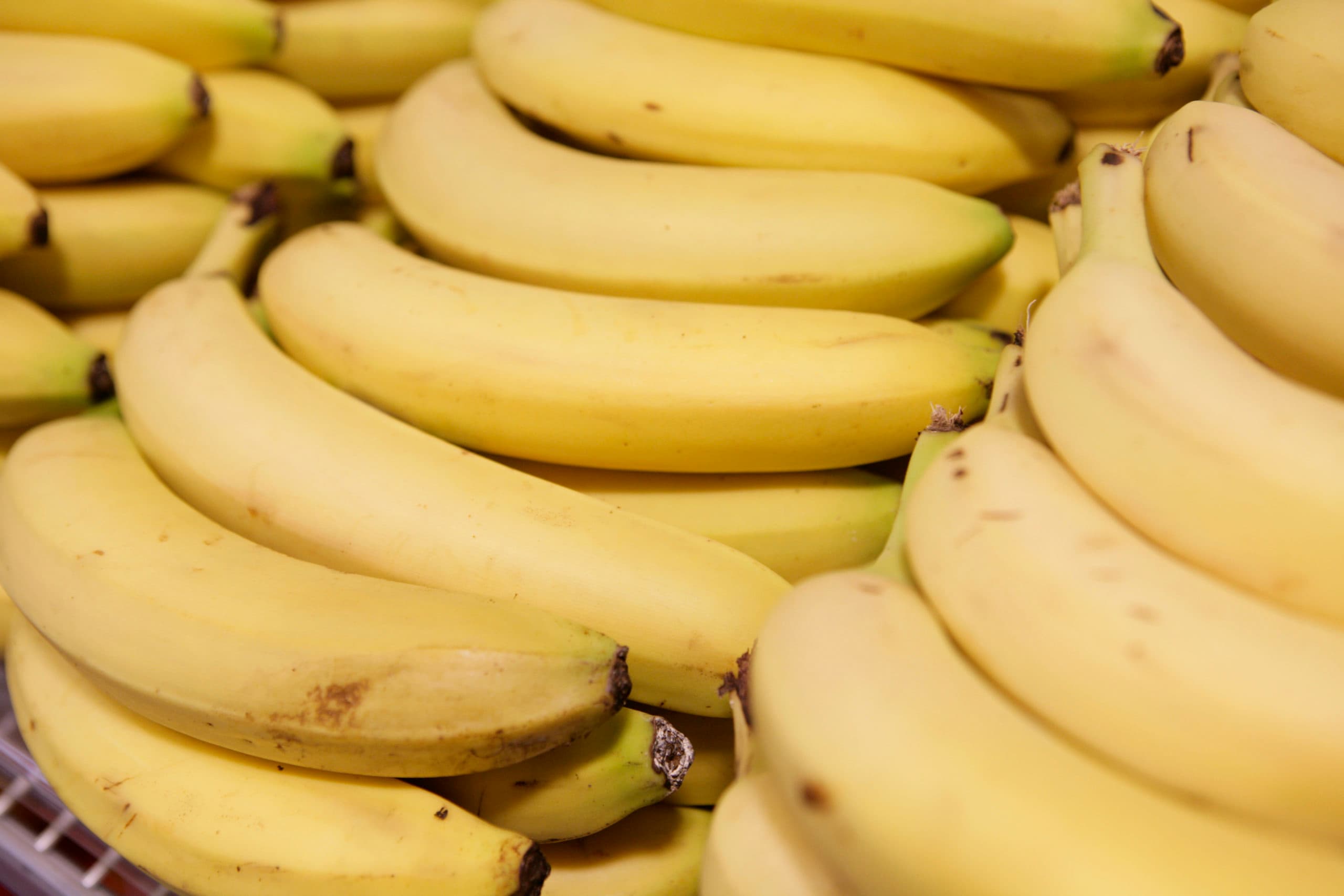 De landbouwpolitiek doet soms denken aan een bananenrepubliek, vindt columnist Pieter Schouten. - Foto: Micher Zoeter