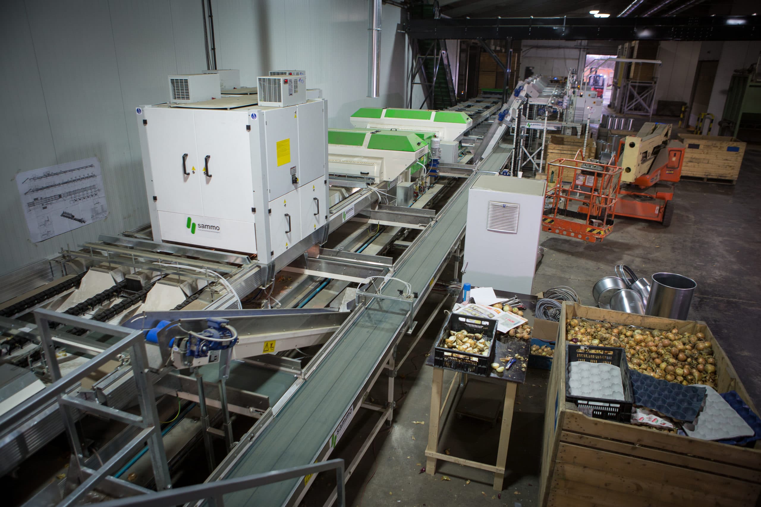 Sorteermachine bij WIskerke Onions - Foto: Peter Roek