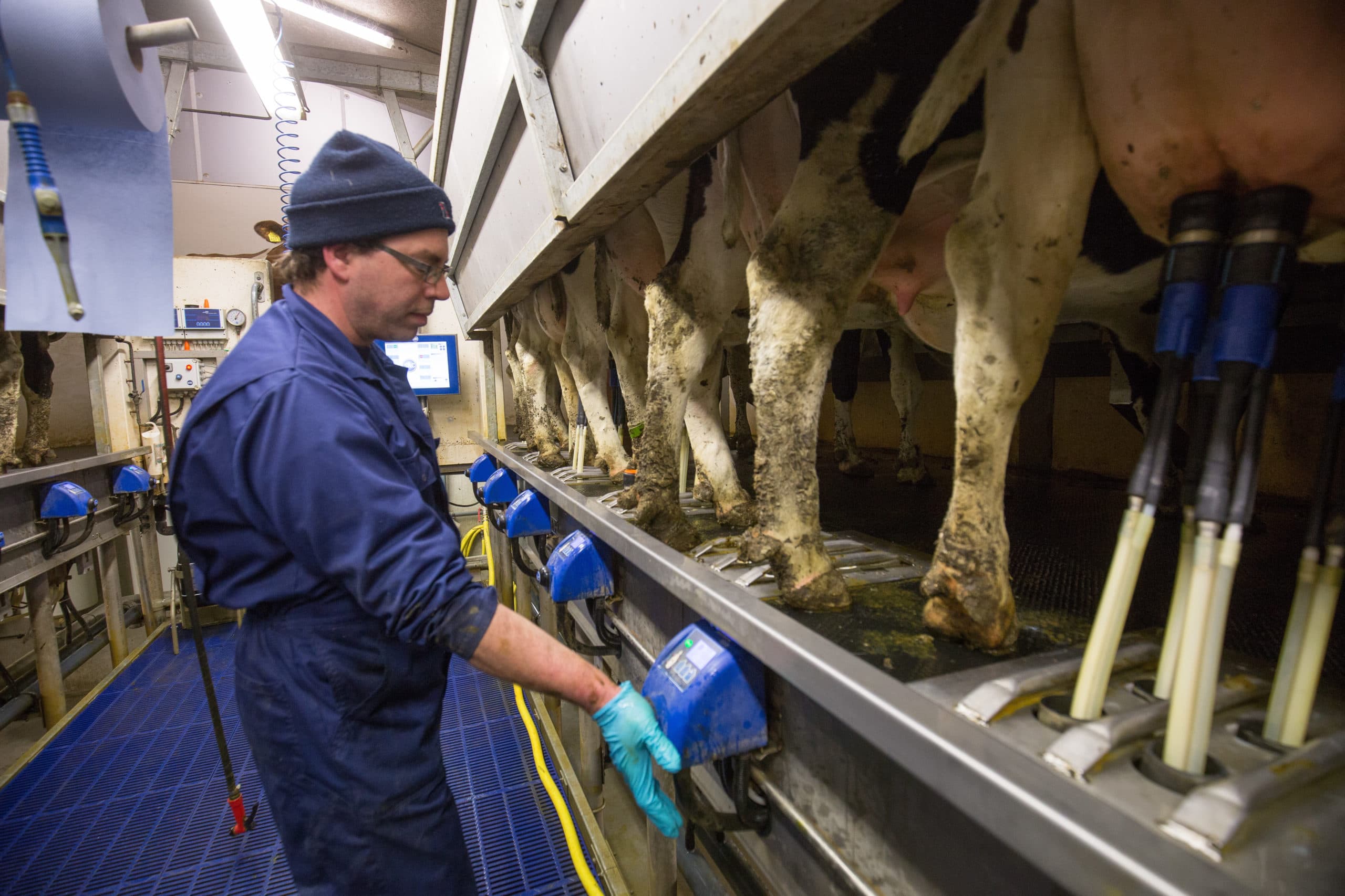 Deze innovatieve stal is de derde in zijn soort - Foto: Jan Willem van Vliet
