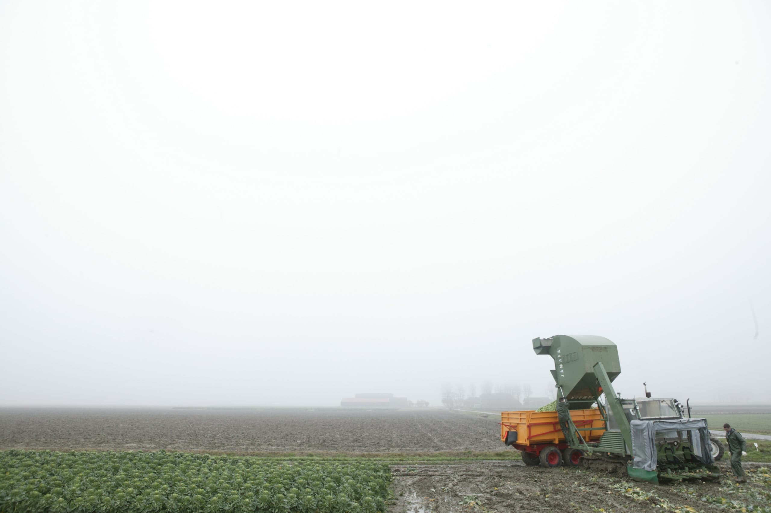 Foto: Henk Riswick