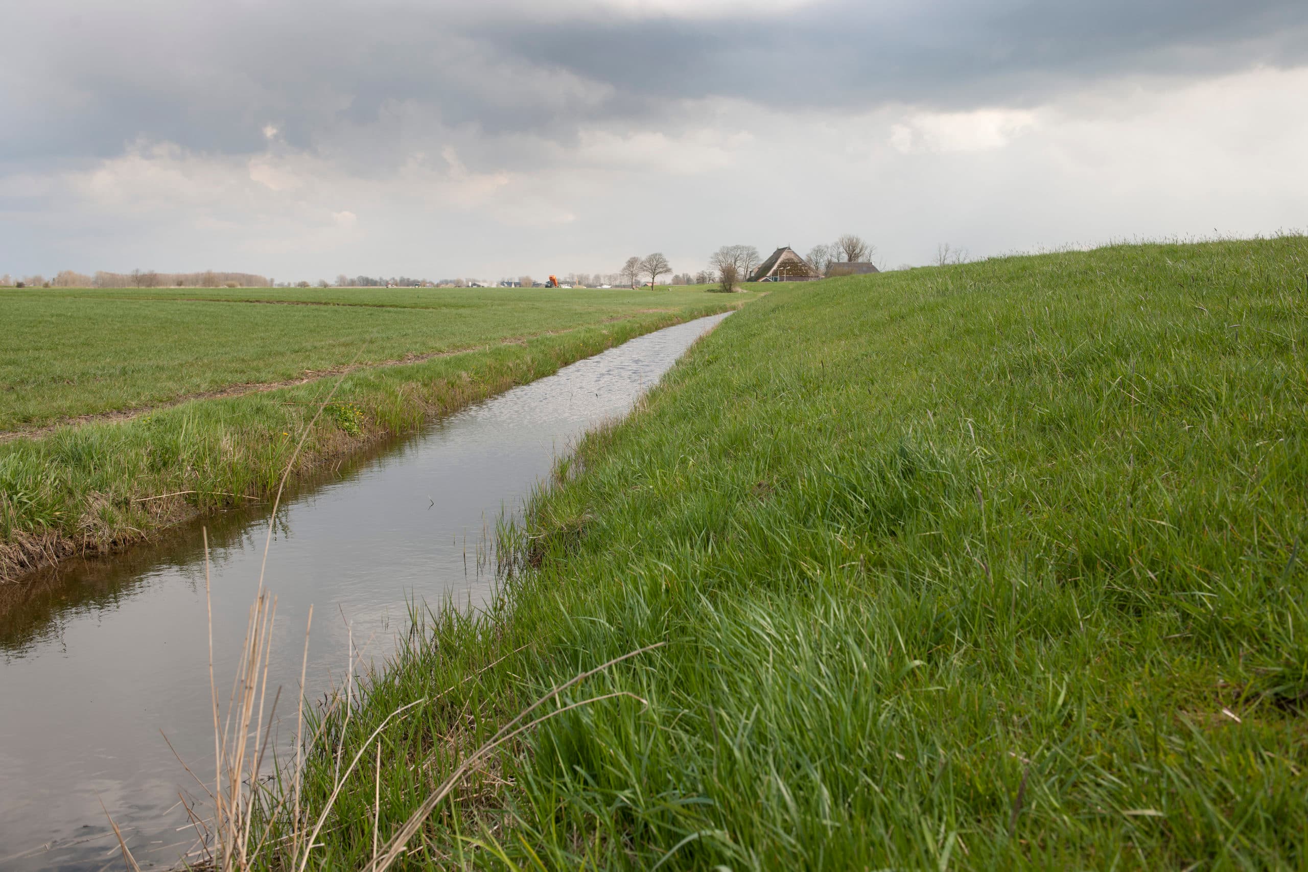 Sloot bij percelen grasland. - Foto: Mark Pasveer