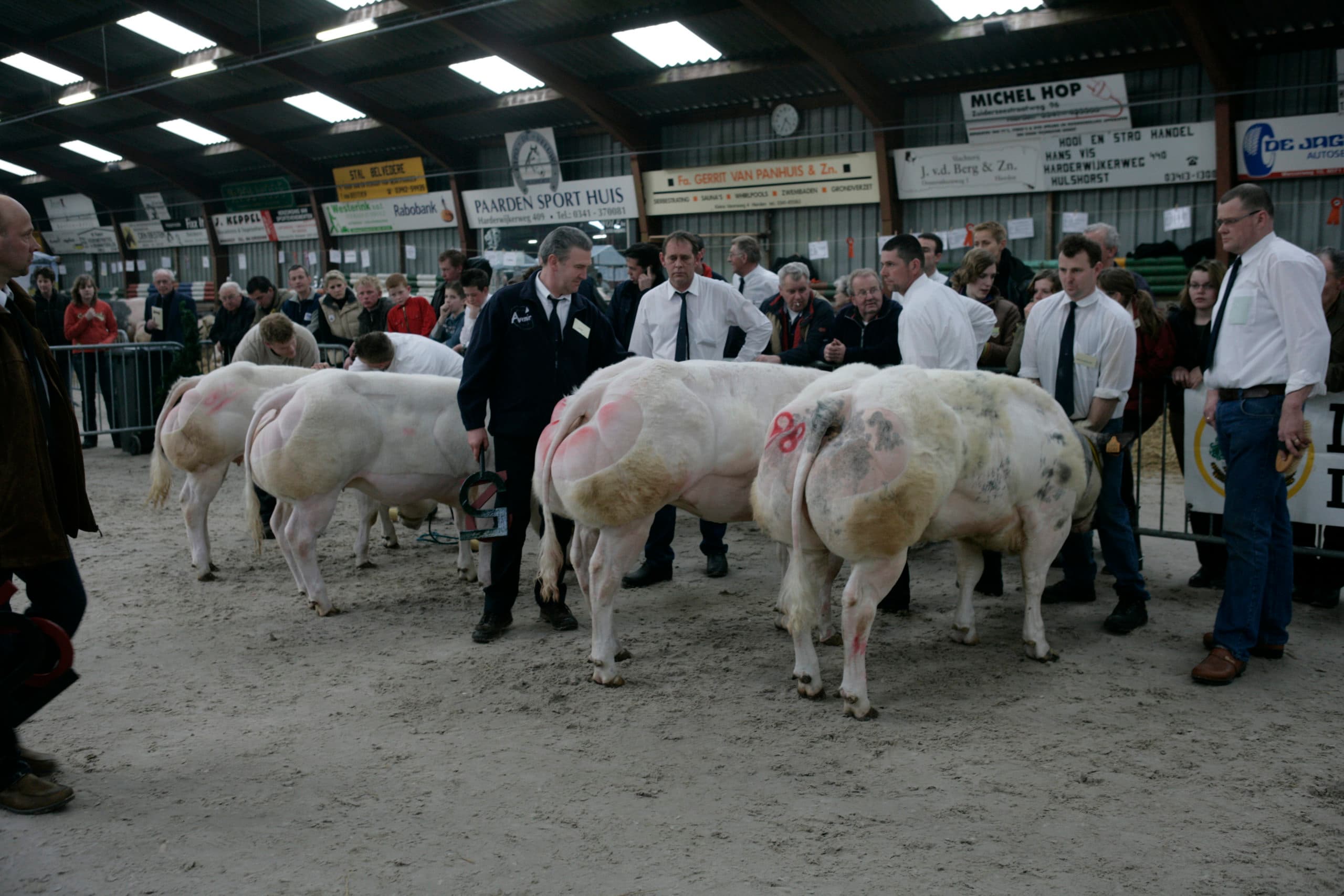 Foto: Jan Willem Schouten