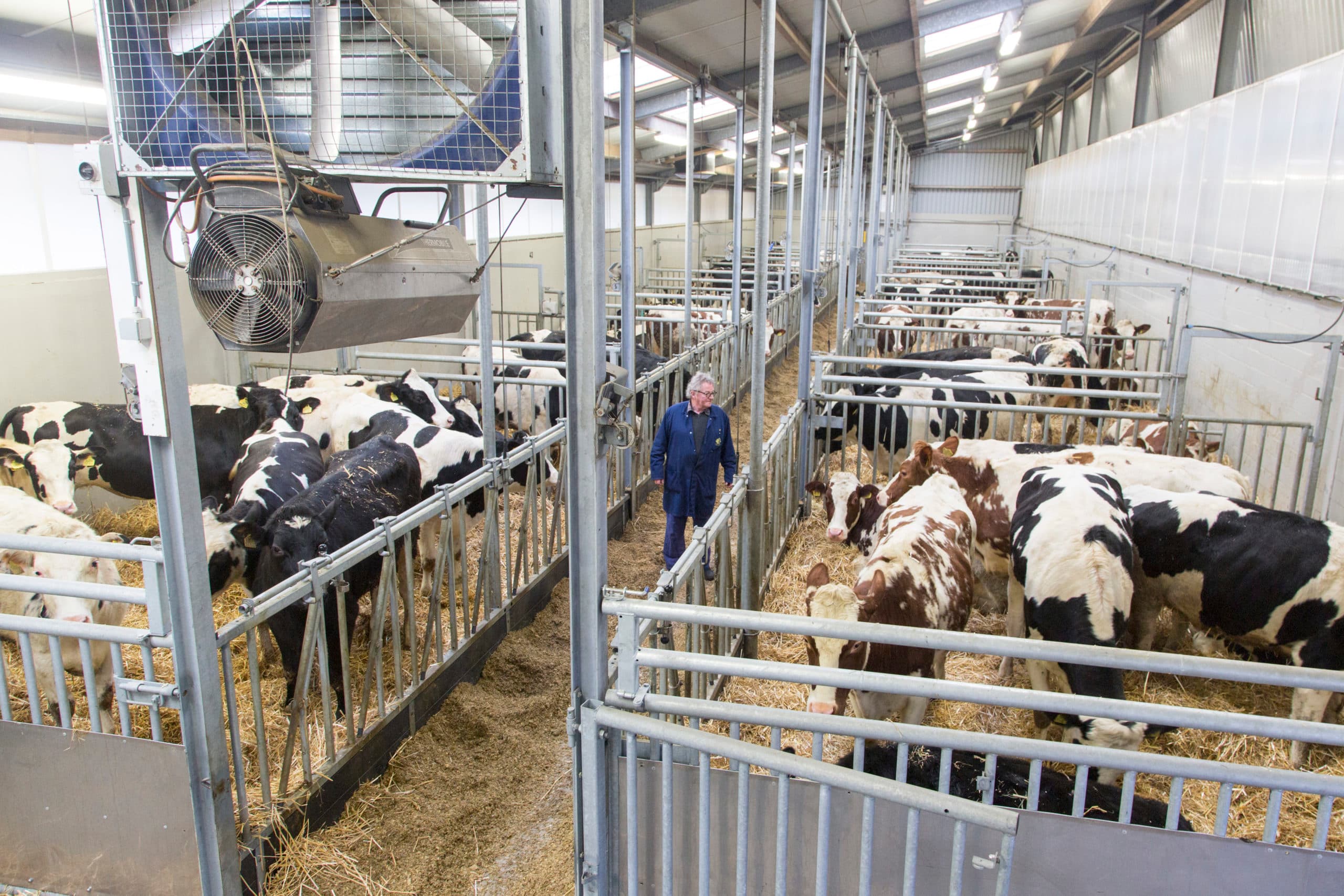 Foto: Koos Groenewold