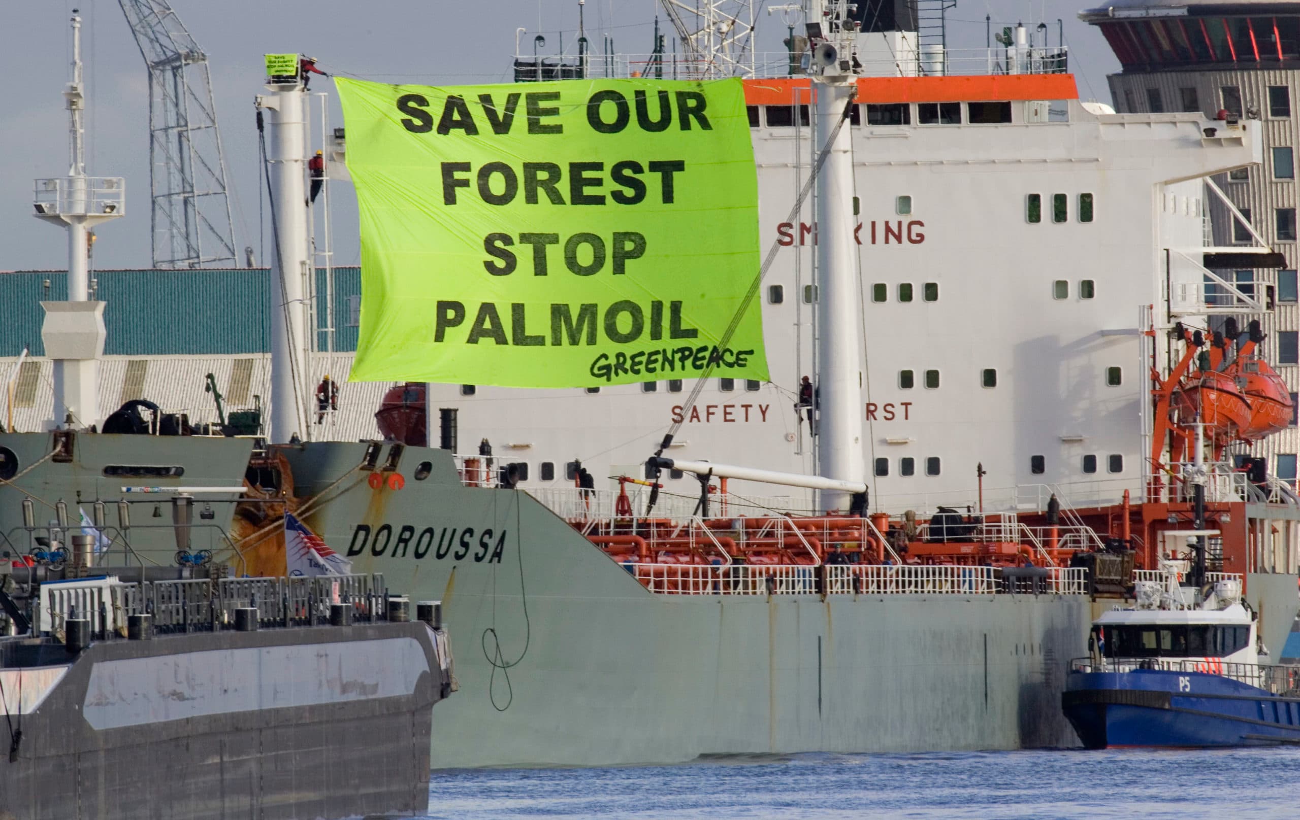 Greenpeace protesteerde in 2007 al tegen palmolie. Botervet lijkt een goed alternatief. Foto: ANP