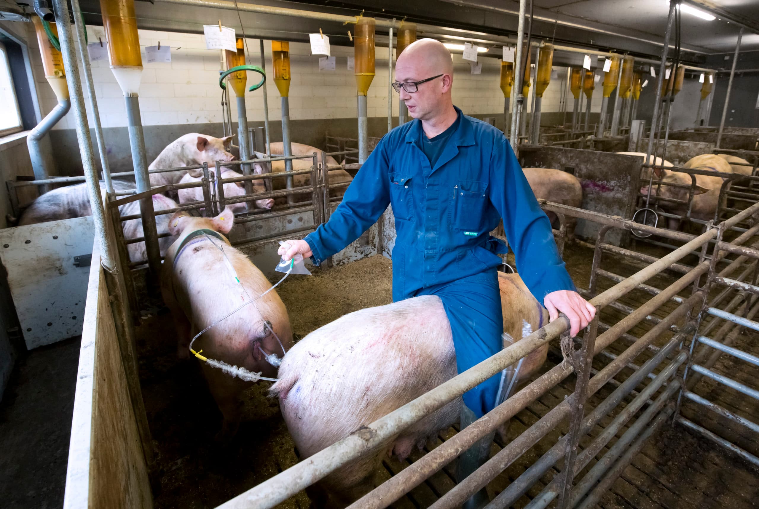 Foto: Ruud Ploeg