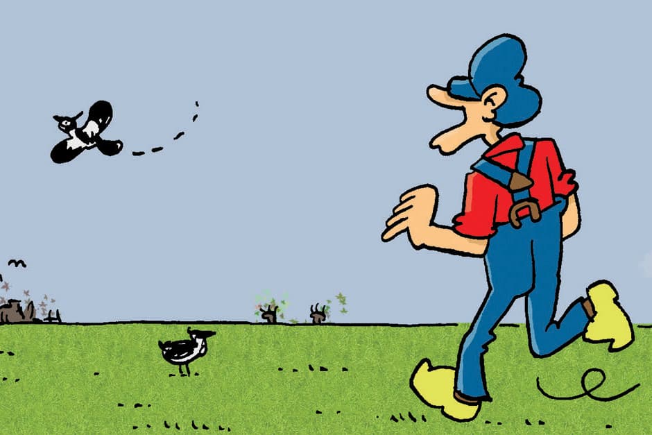 Tekst en illustraties: Herman Roozen