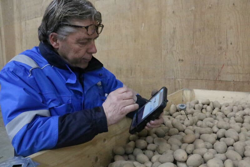 Ook hier wordt het keuringsprotocol uitgevoerd. Als onderdeel hiervan worden de poters doorgesneden, om ze te inspecteren op interne afwijkingen.