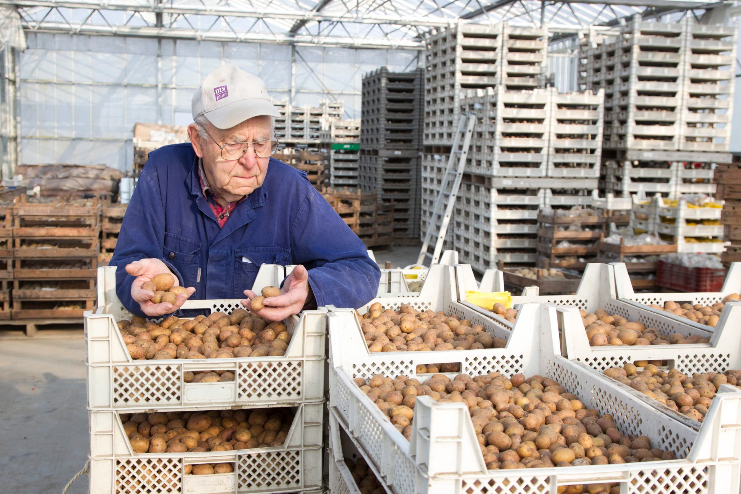 Foto: Koos van der Spek