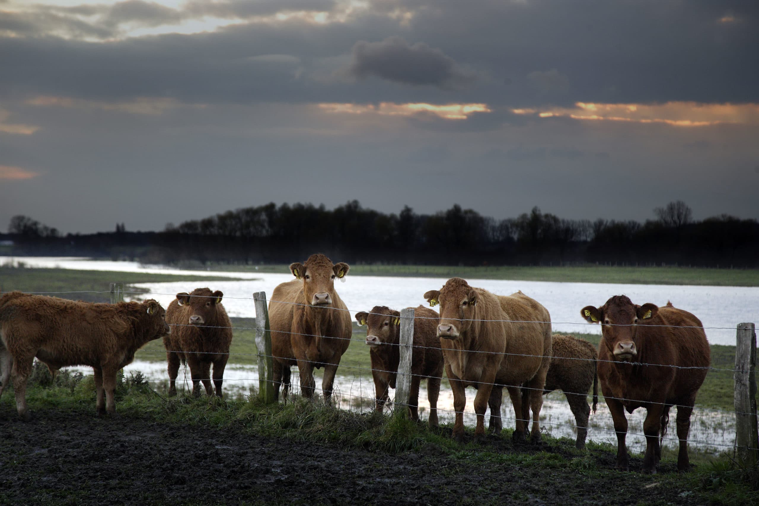 Foto: Hans Prinsen