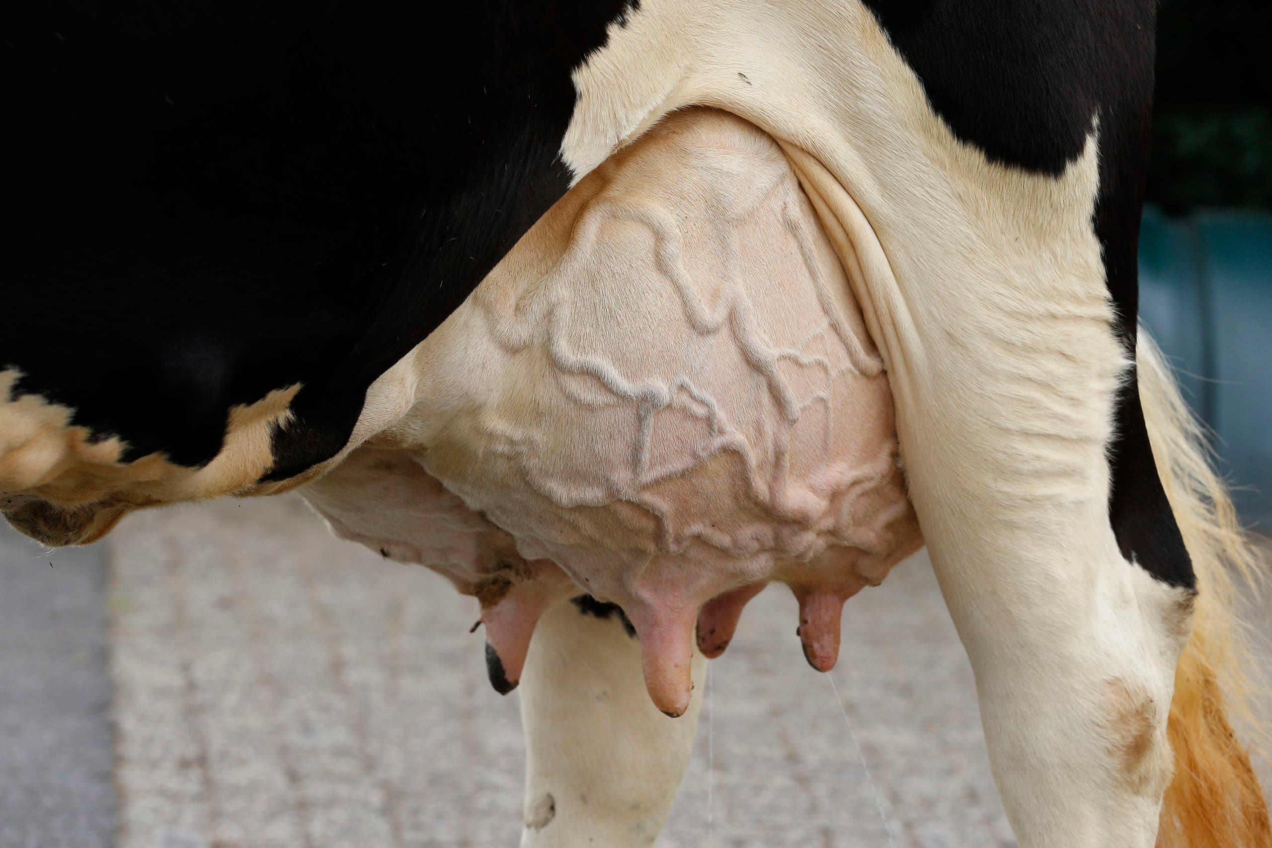 Foto: Hans Prinsen