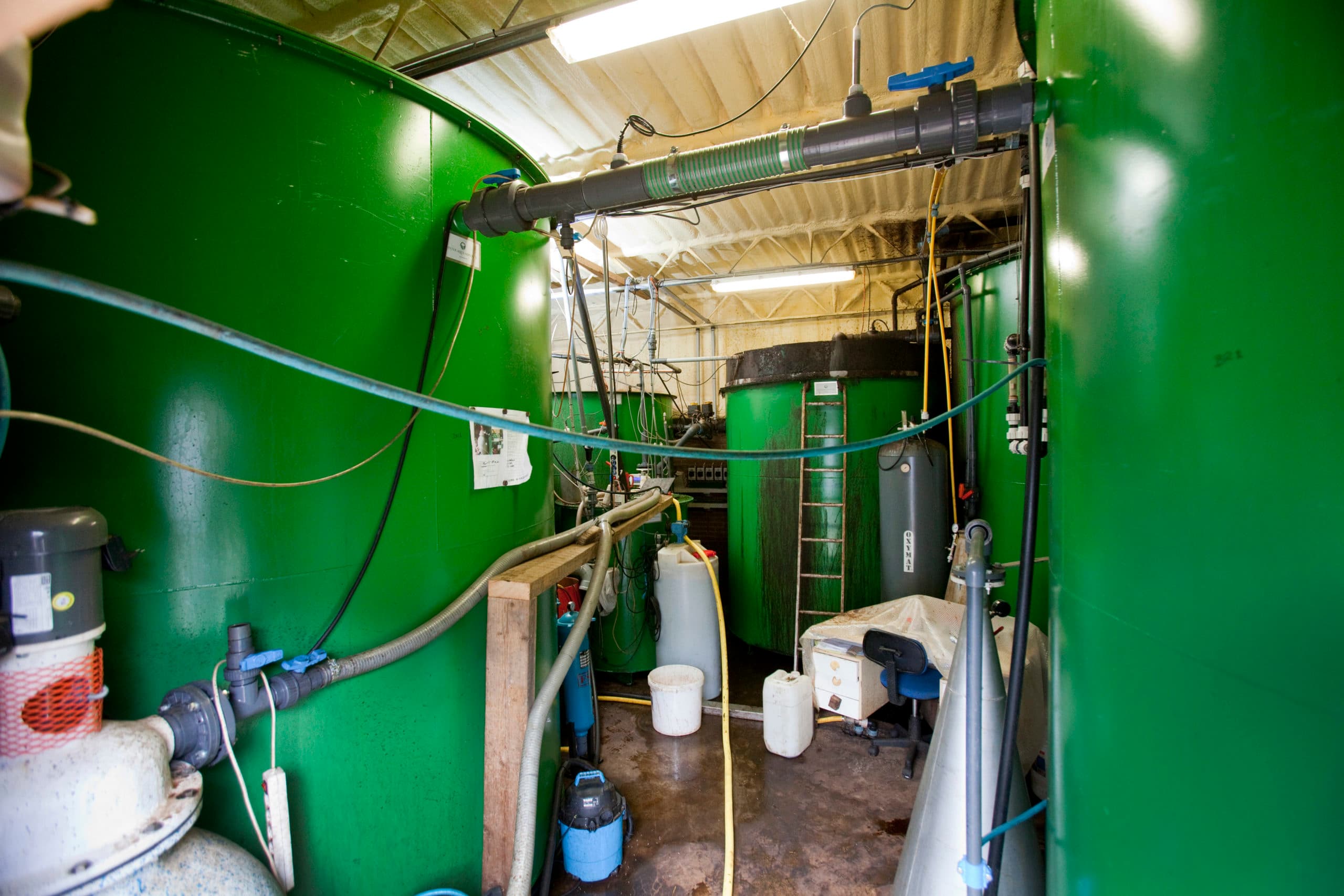 Een mestverwerkingsinstallatie bij een varkenshouder op het erf. Foto: Jan Willem Schouten