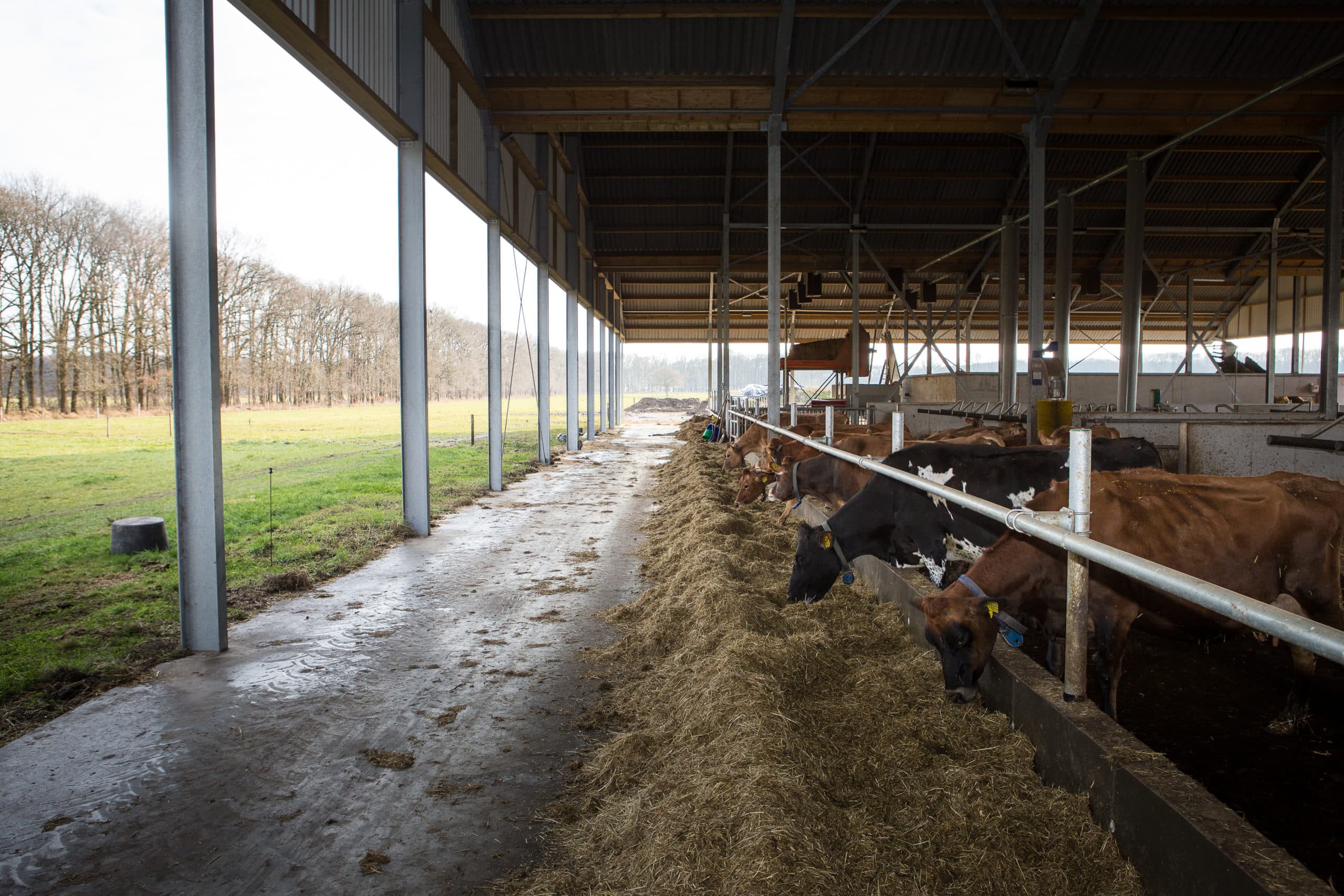 Foto: Peter Roek